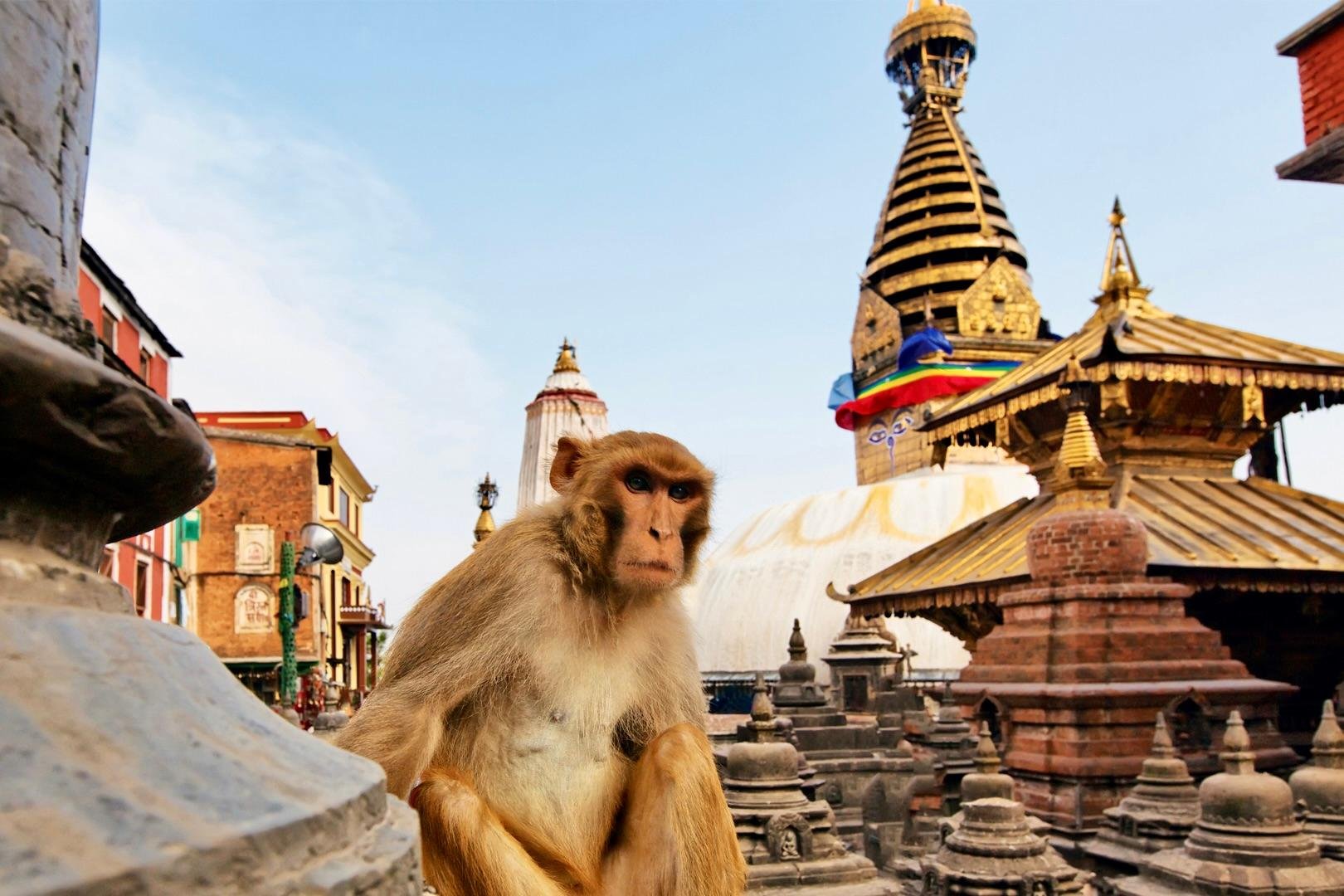 Kathmandu: Complete 7-Site UNESCO Heritage Private or Group Tour