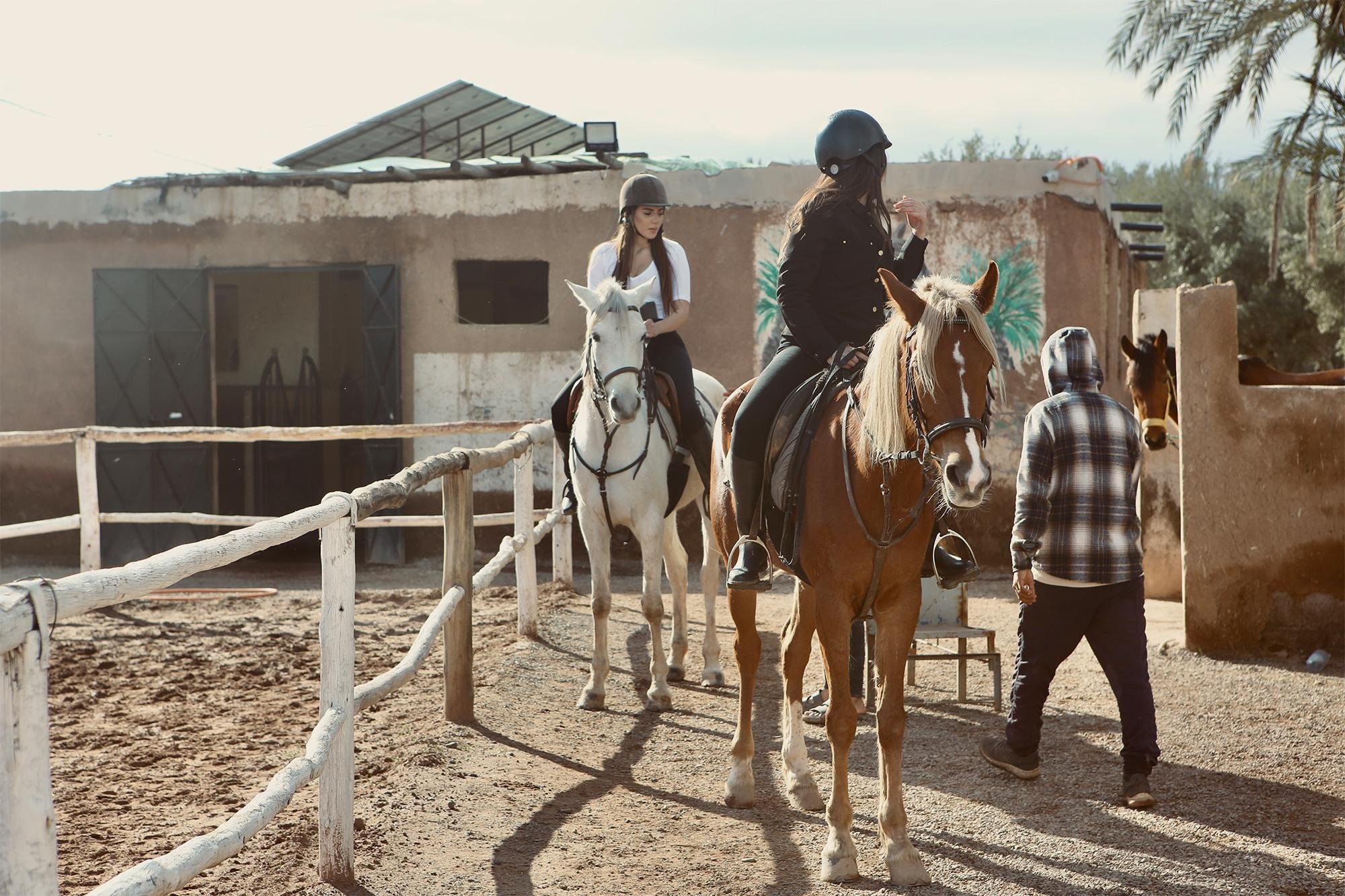 Marrakech Palmeraie Horseback Ride with Mint Tea