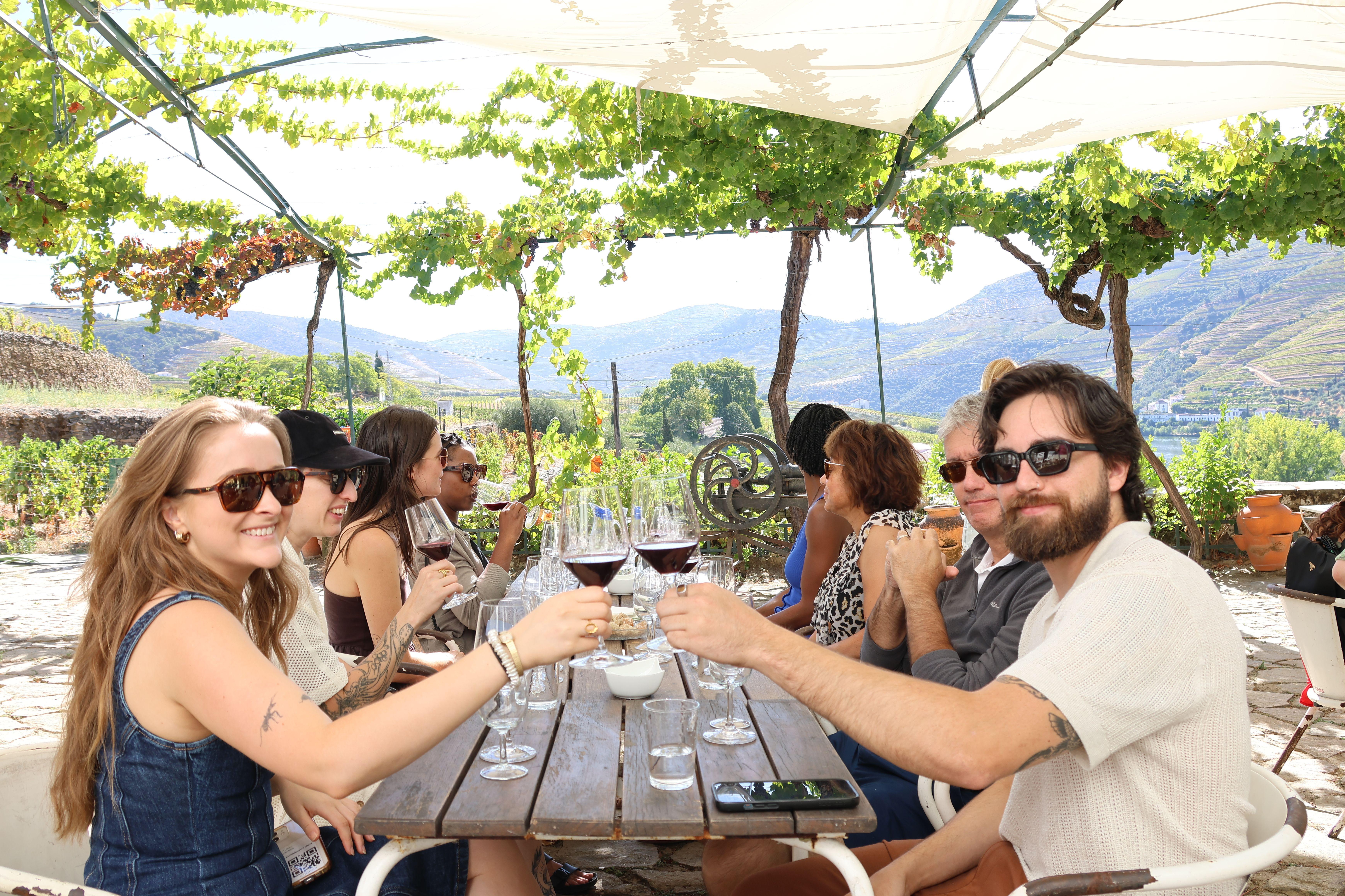 Douro Valley Wine & Cruise Day Trip from Porto