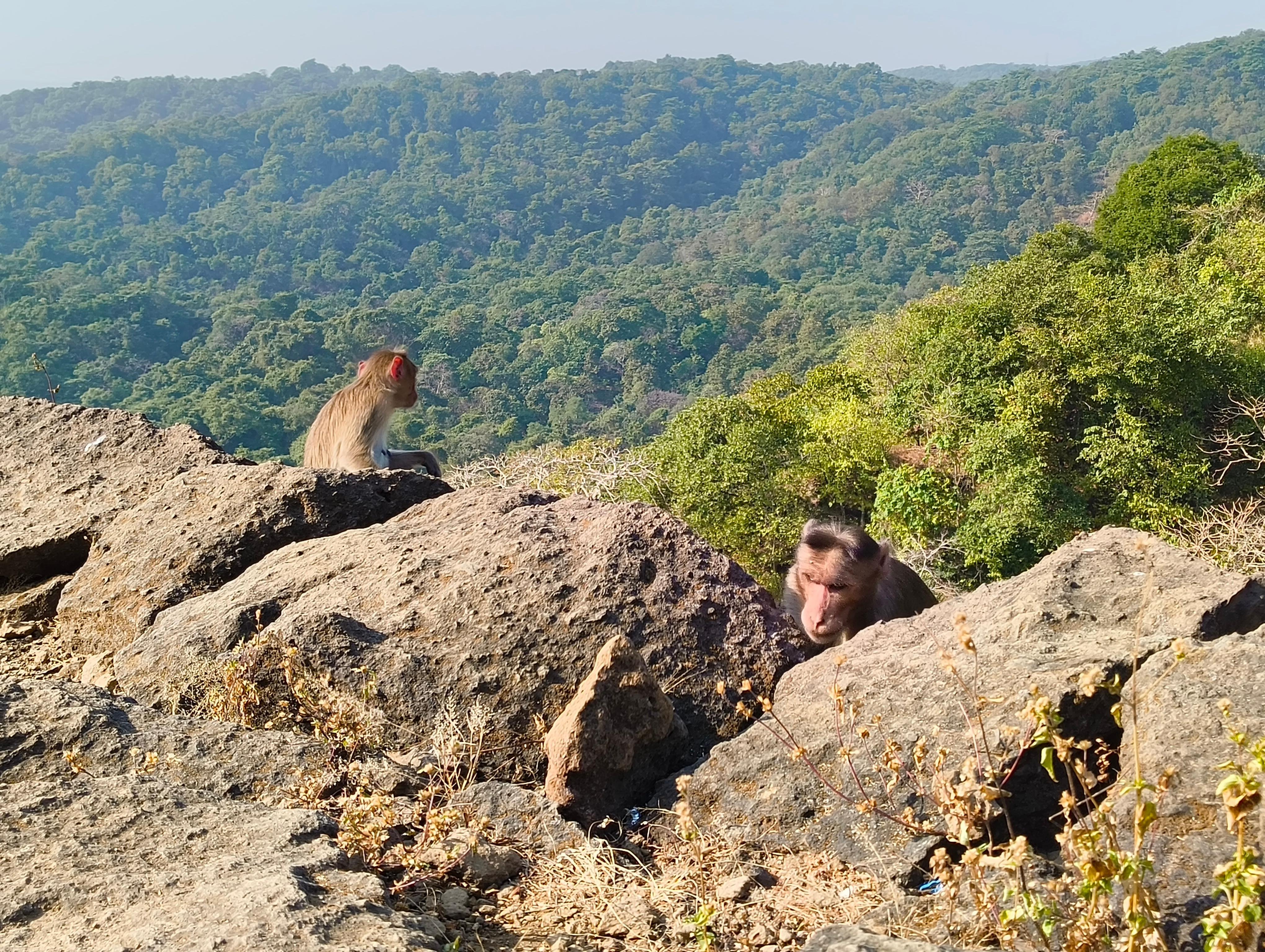 Mumbai Kanheri Caves & Buddhist Heritage Tour