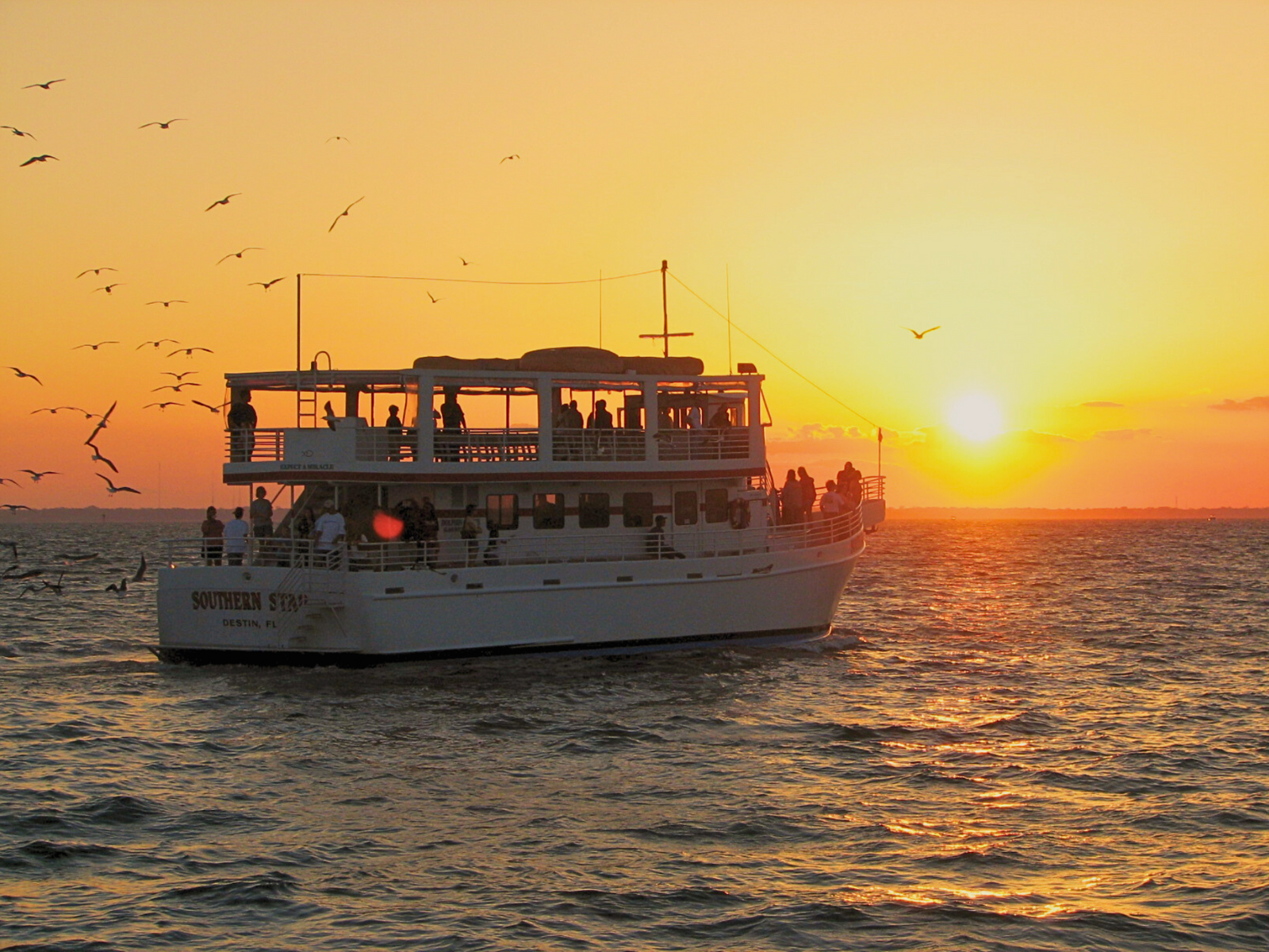 Sunset Dolphin Cruise aboard the Southern Star