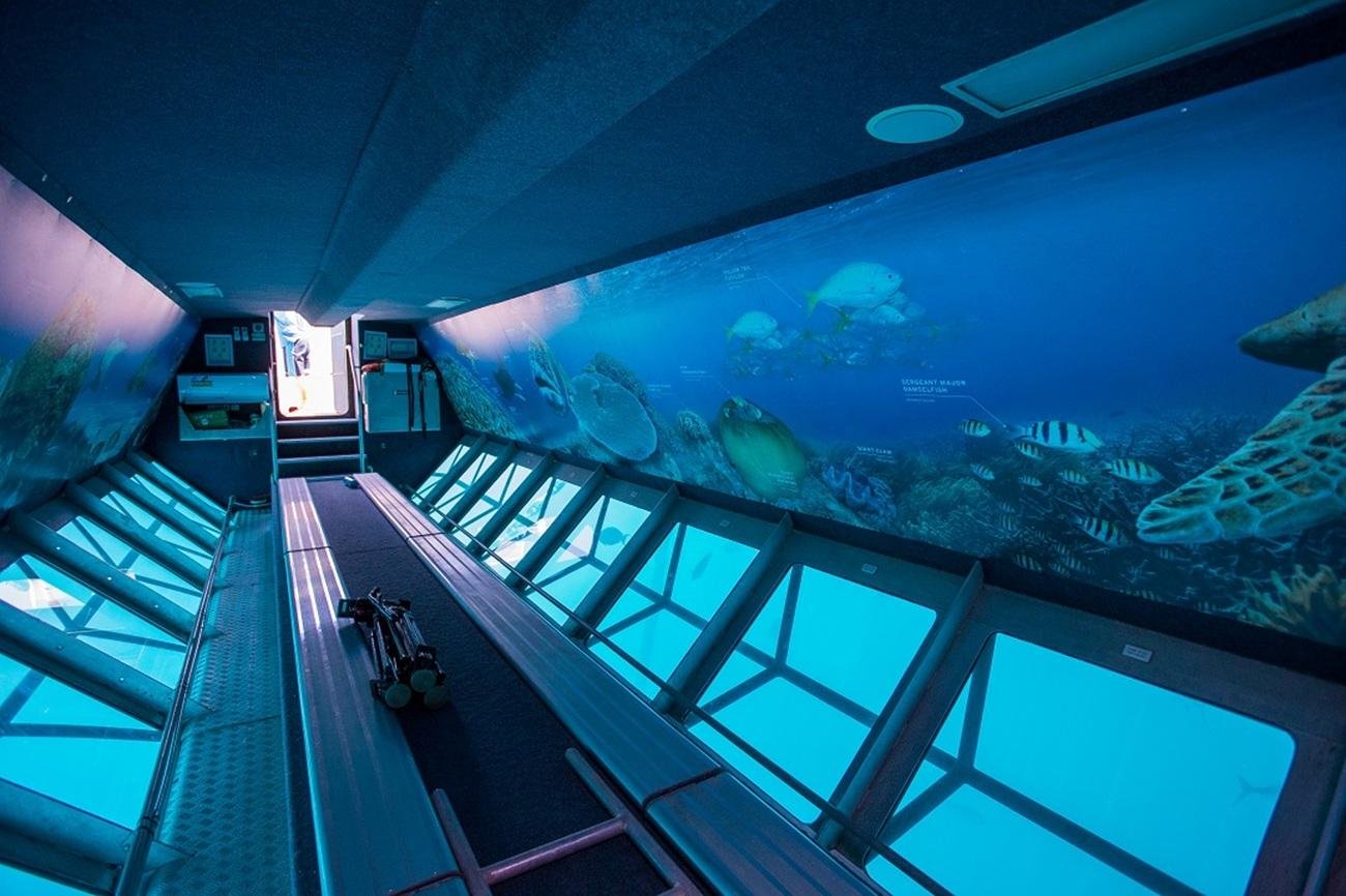 Great Barrier Reef Day Cruise from Airlie Beach