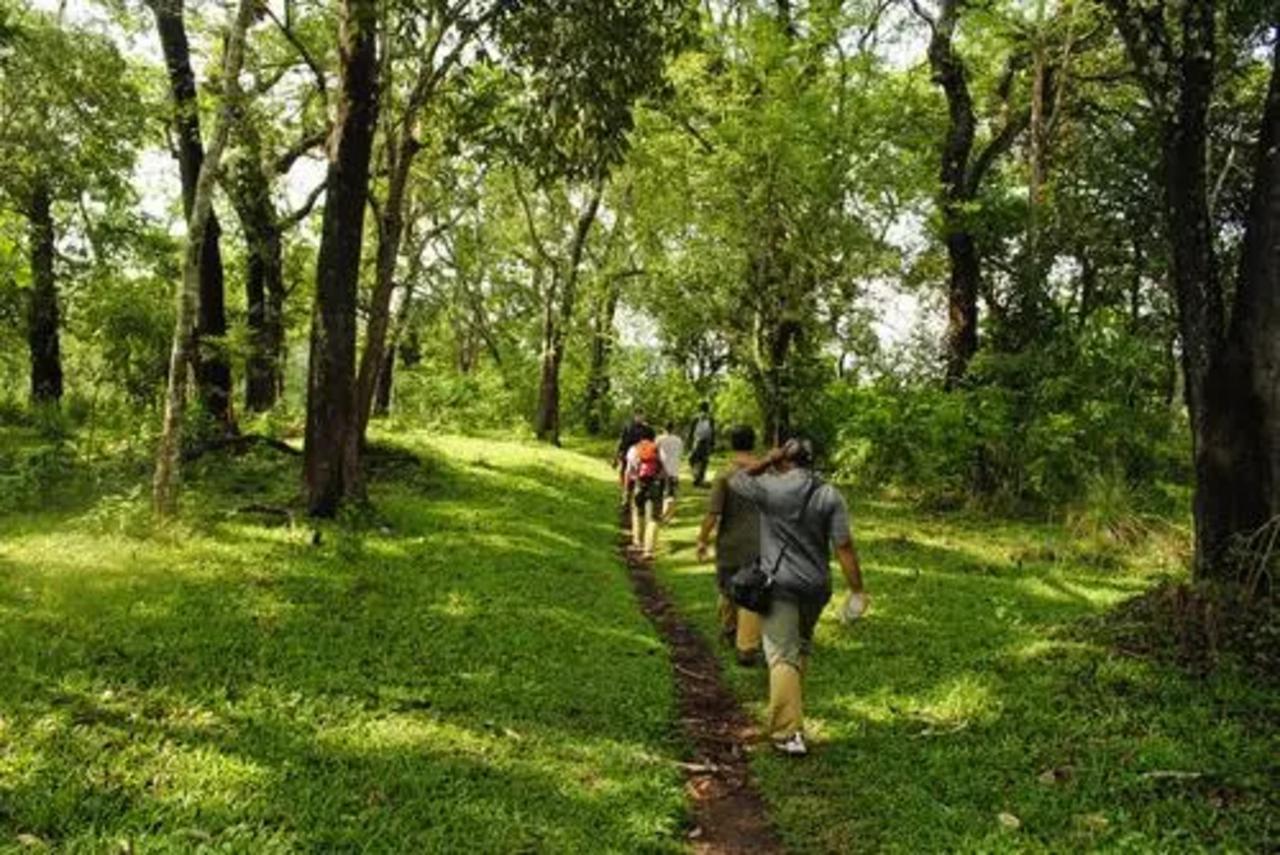 Thekkady Jeep Safari, Spice Farm & Cultural Experience