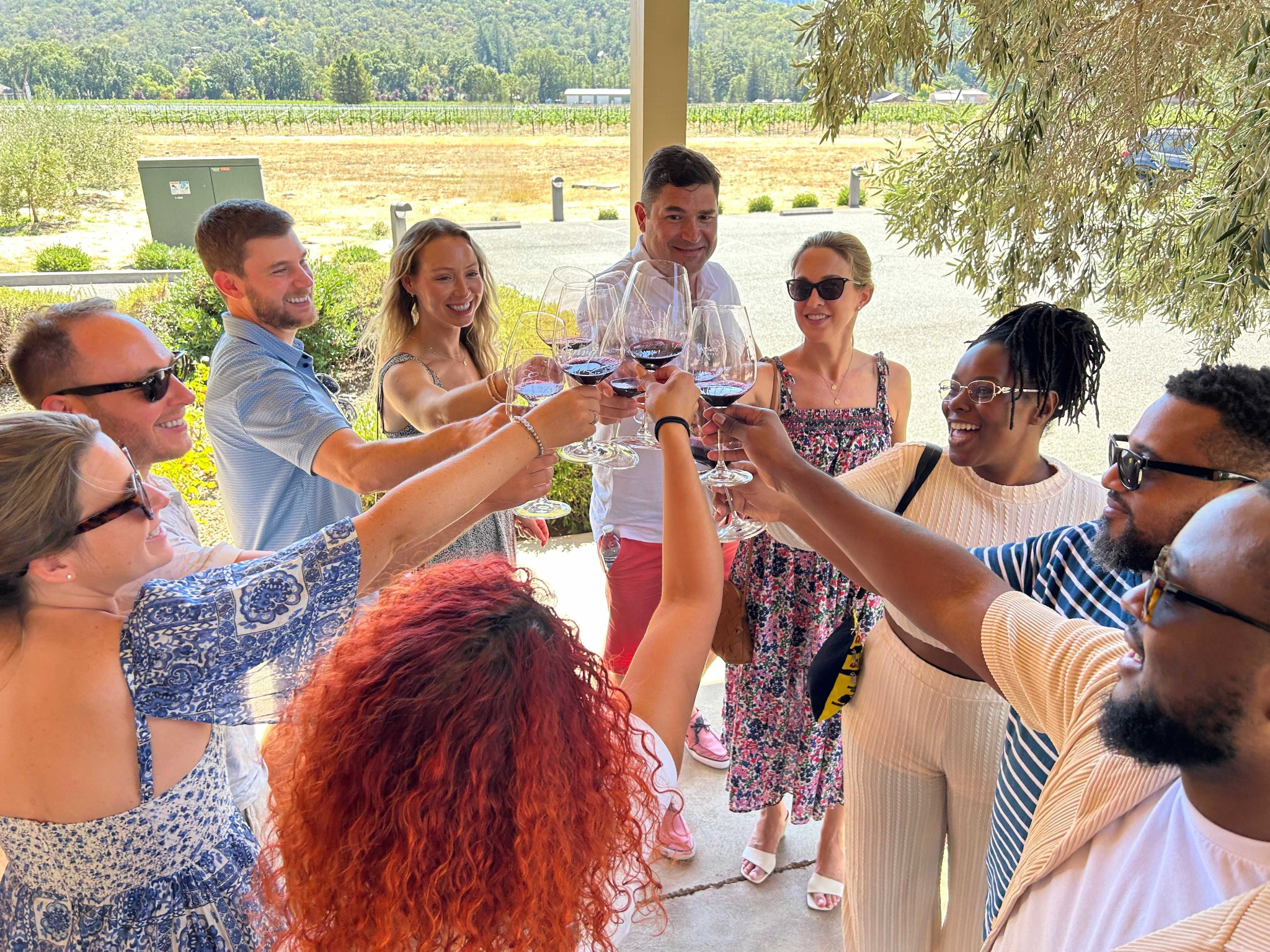 Napa Valley Wine Tour with Picnic Lunch