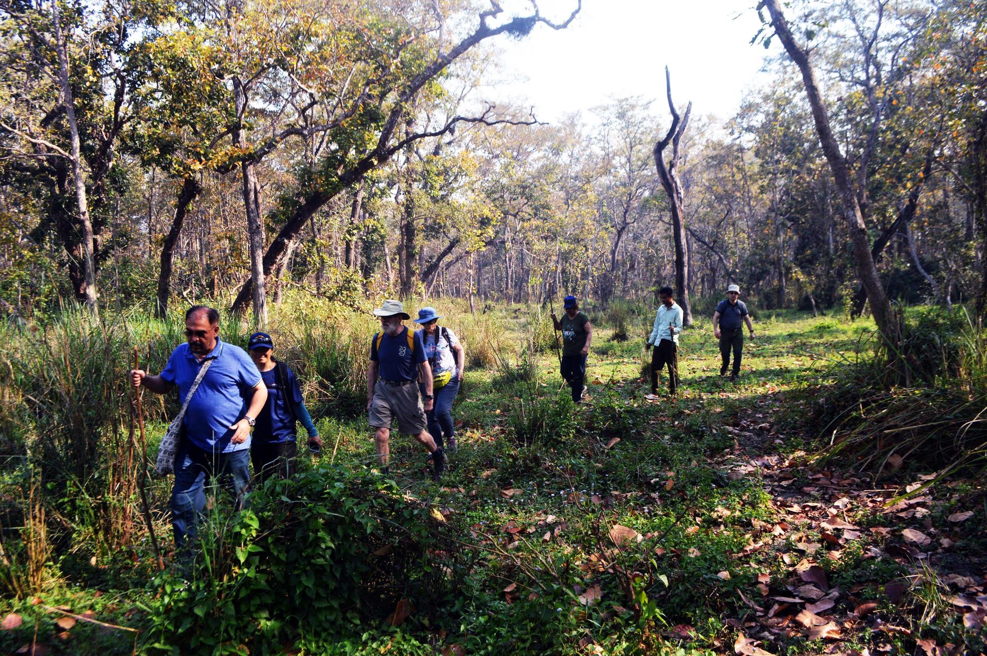Chitwan Jungle Safari: 2, 3, or 4-Day Wildlife Adventure from Kathmandu or Pokhara