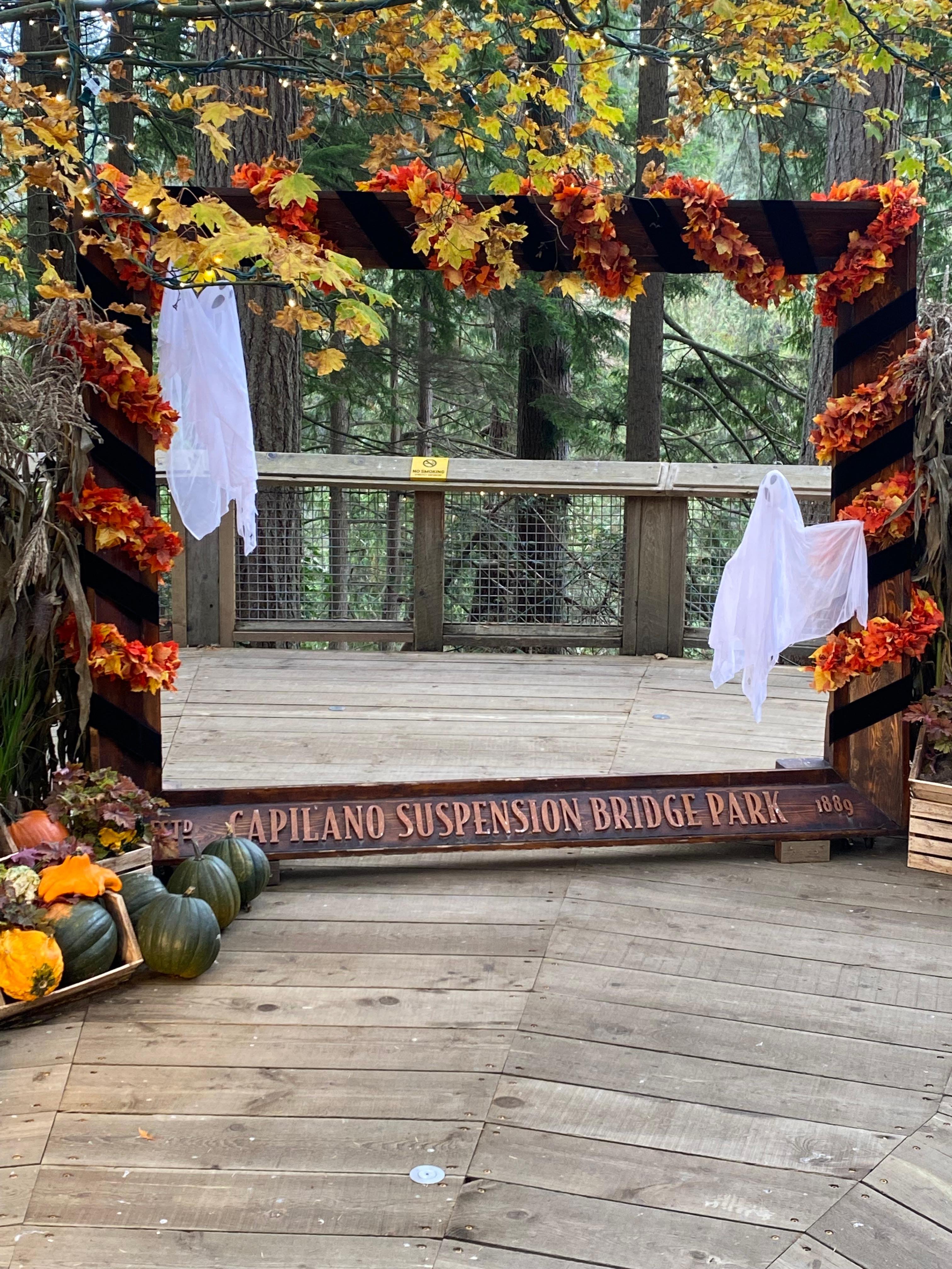 Private Vancouver Highlights: Capilano Suspension & Grouse Mountain
