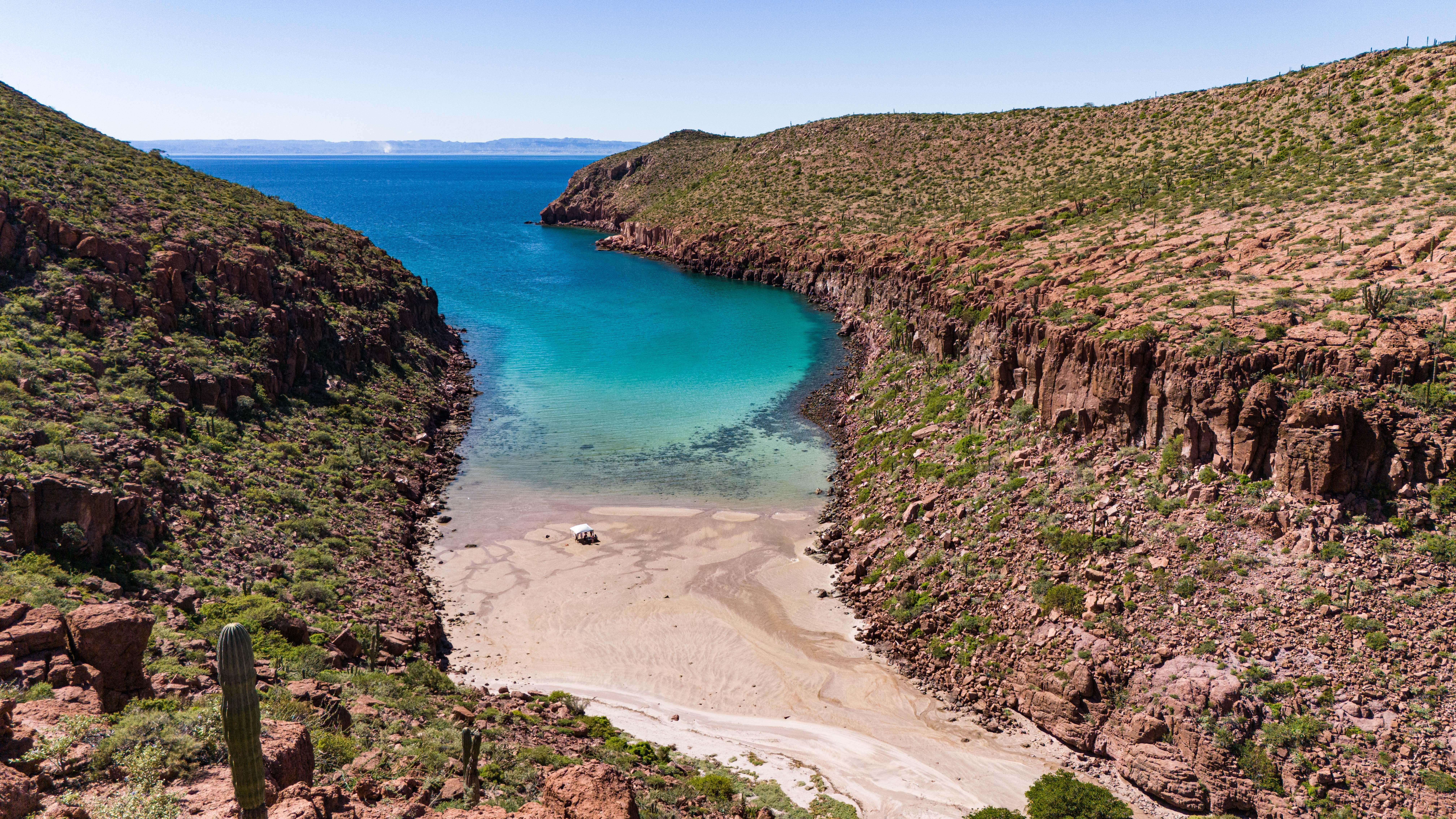 Espiritu Santo Island Sea Lion Snorkeling Expedition