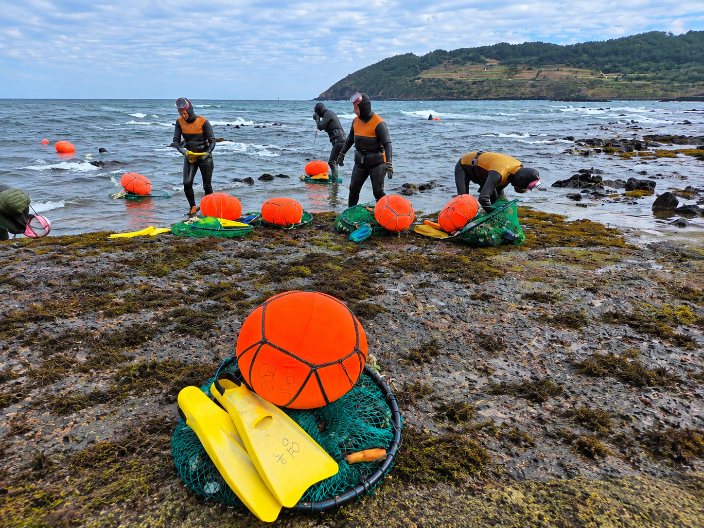 Jeju private taxi tour — image 17
