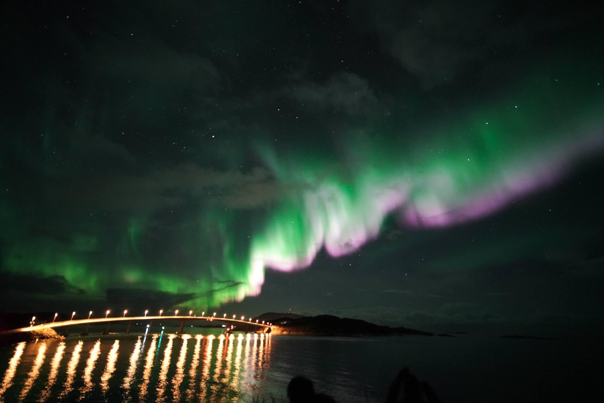 Northern lights tour, image 20