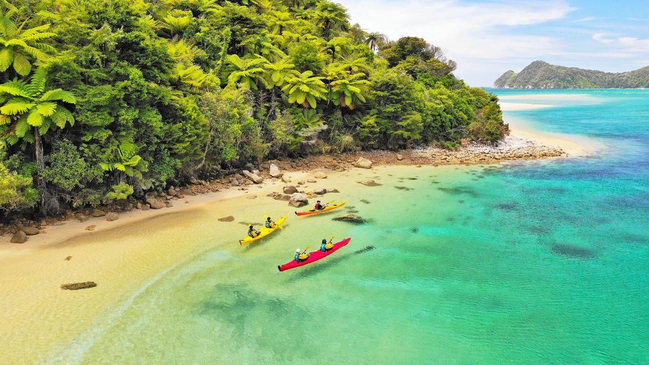 Abel Tasman National Park: Catamaran, Sea Kayak & Coastal Hike