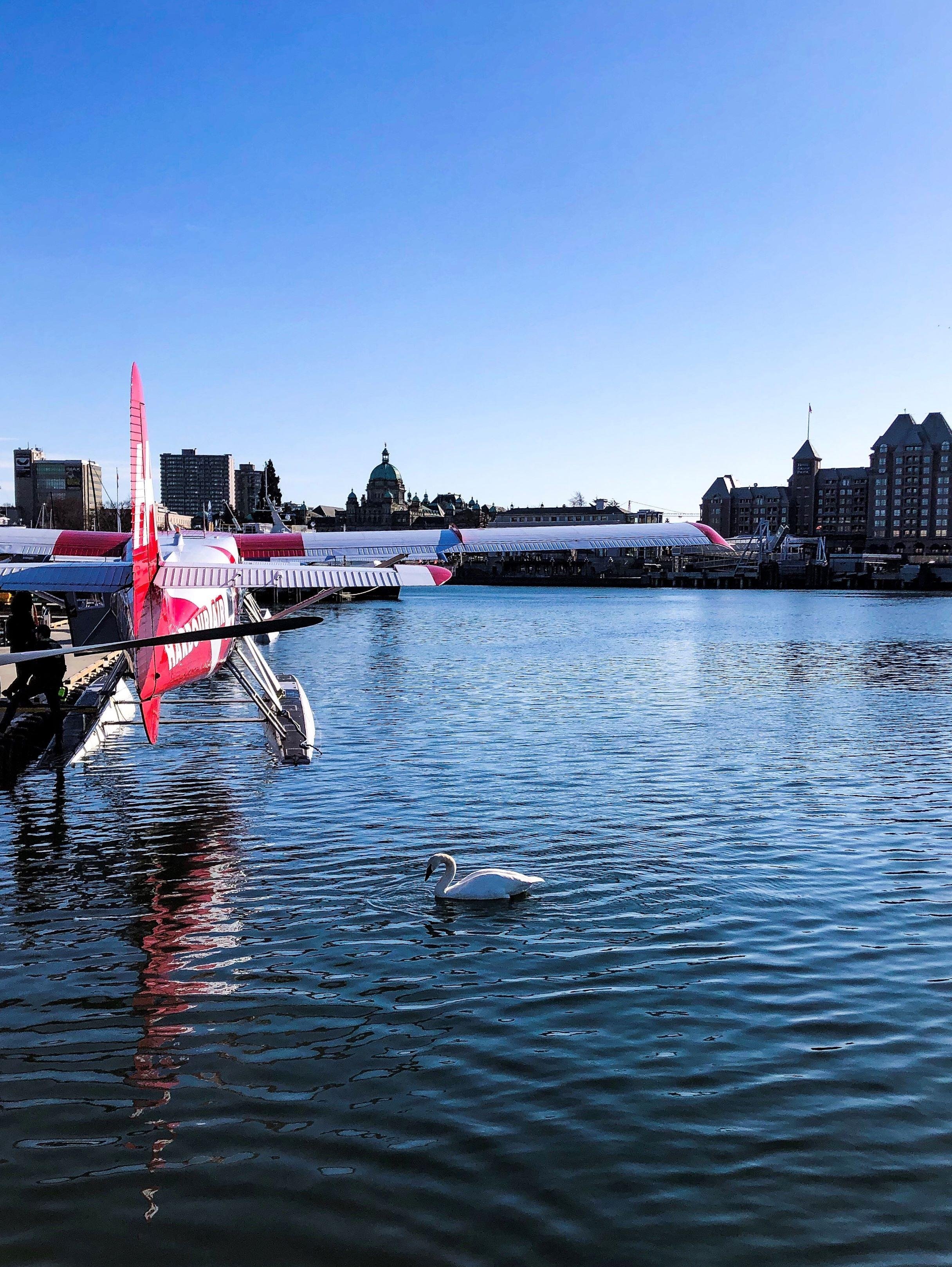 Vancouver to Victoria seaplane day trip — Coal Harbour, Gulf Islands and Victoria Inner Harbour — image 11