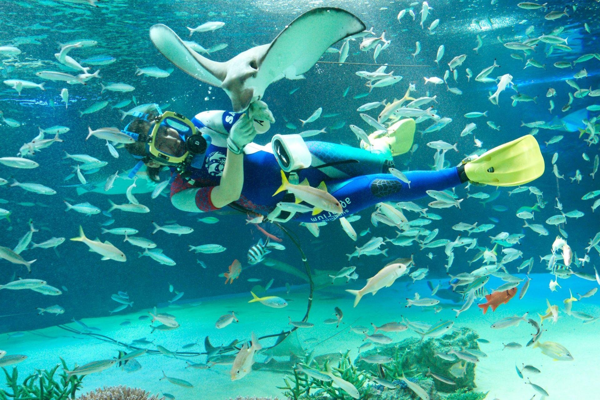 Tokyo: Sunshine Aquarium Admission Ticket
