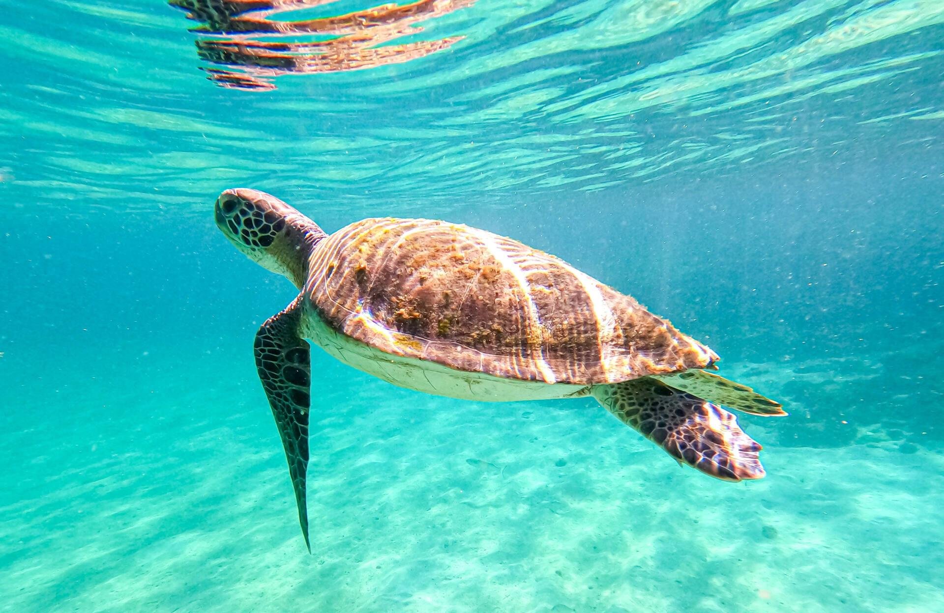 Angra dos Reis & Ilha Grande Boat Tour from Rio