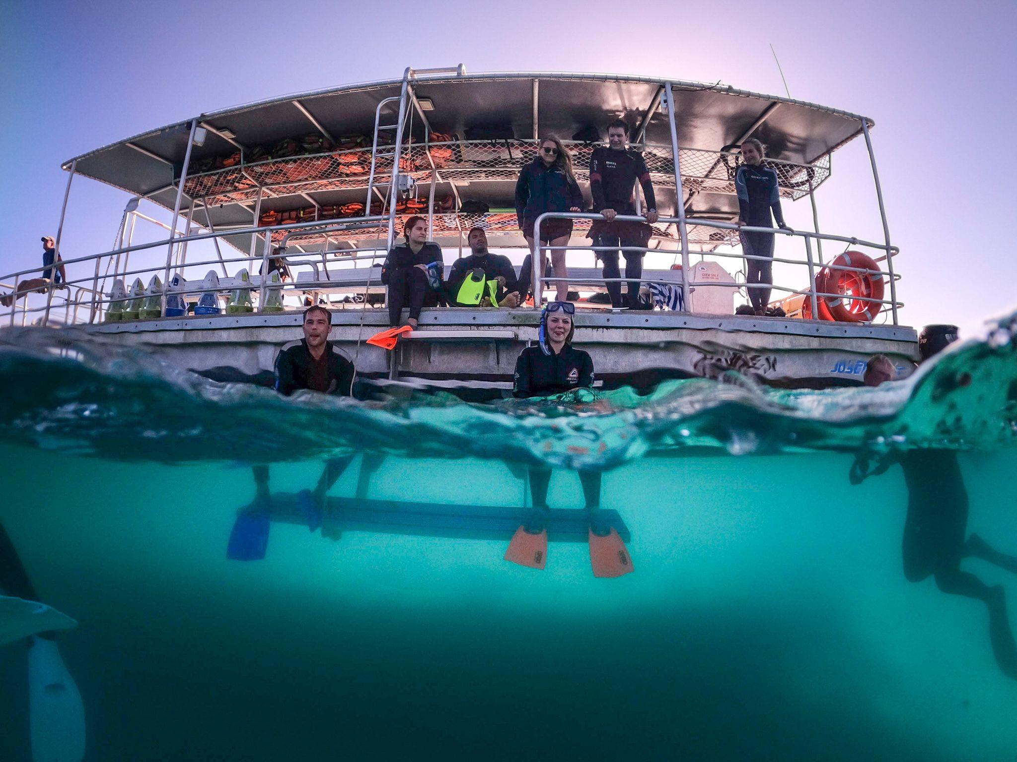 Moreton Island: Tangalooma Full-Day Cruise with Snorkelling & Dolphin Viewing
