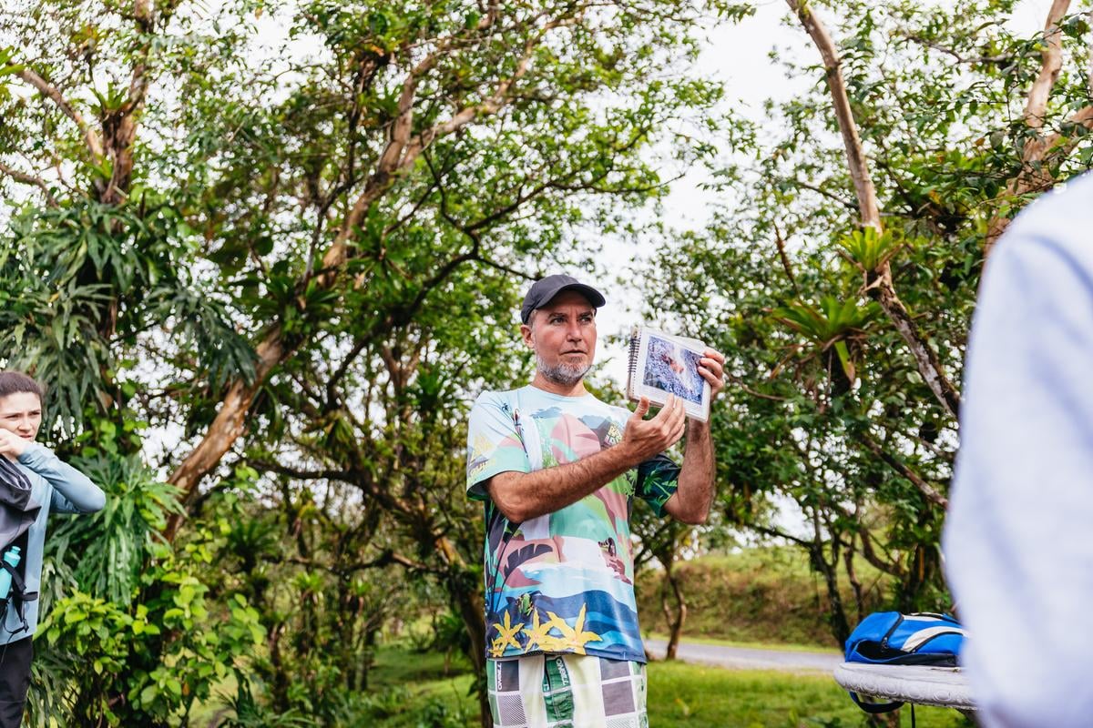 La Fortuna: Waterfall, Volcano & Hot Springs Full-Day Tour