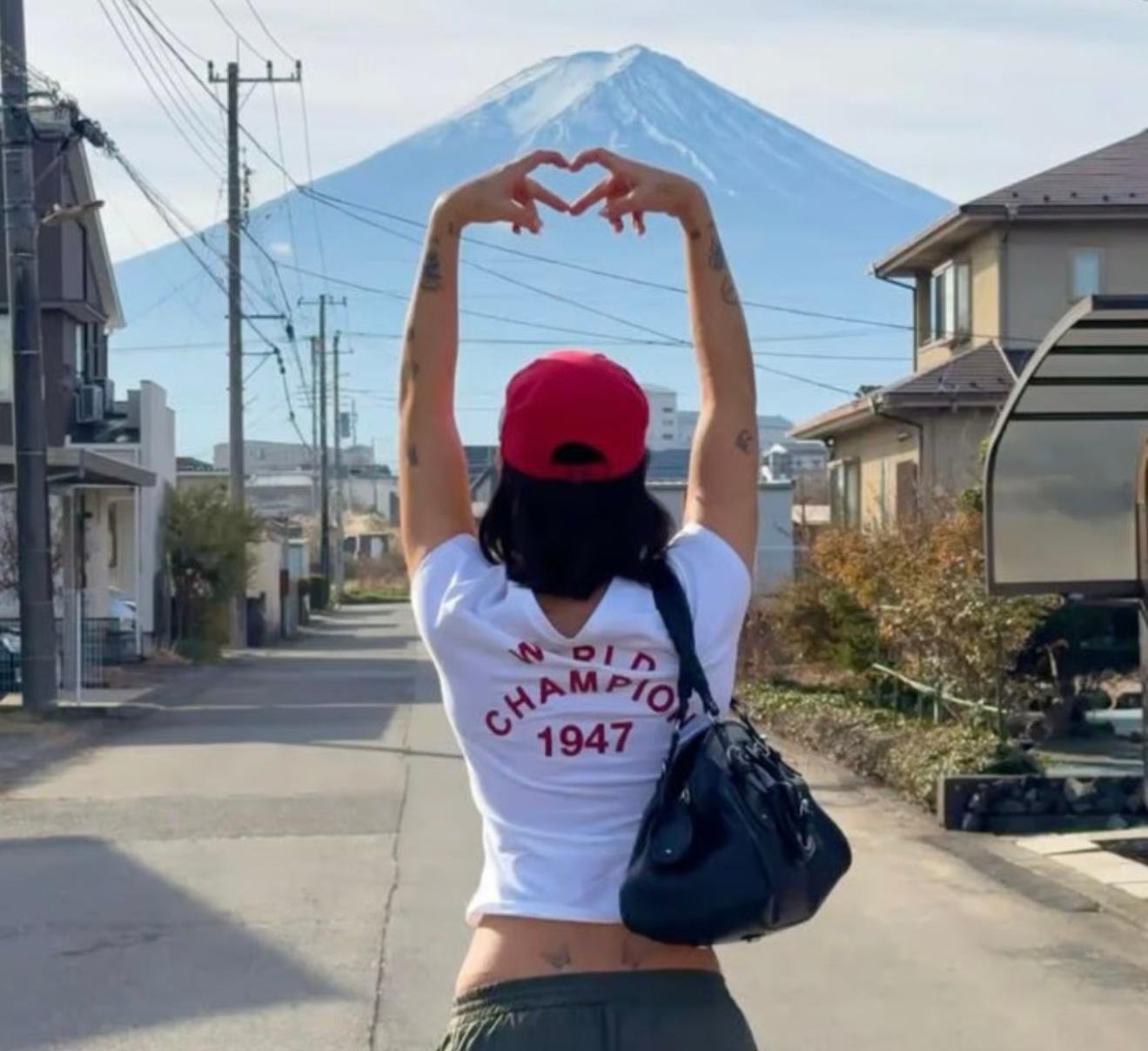 Mount Fuji Private Day Tour from Tokyo