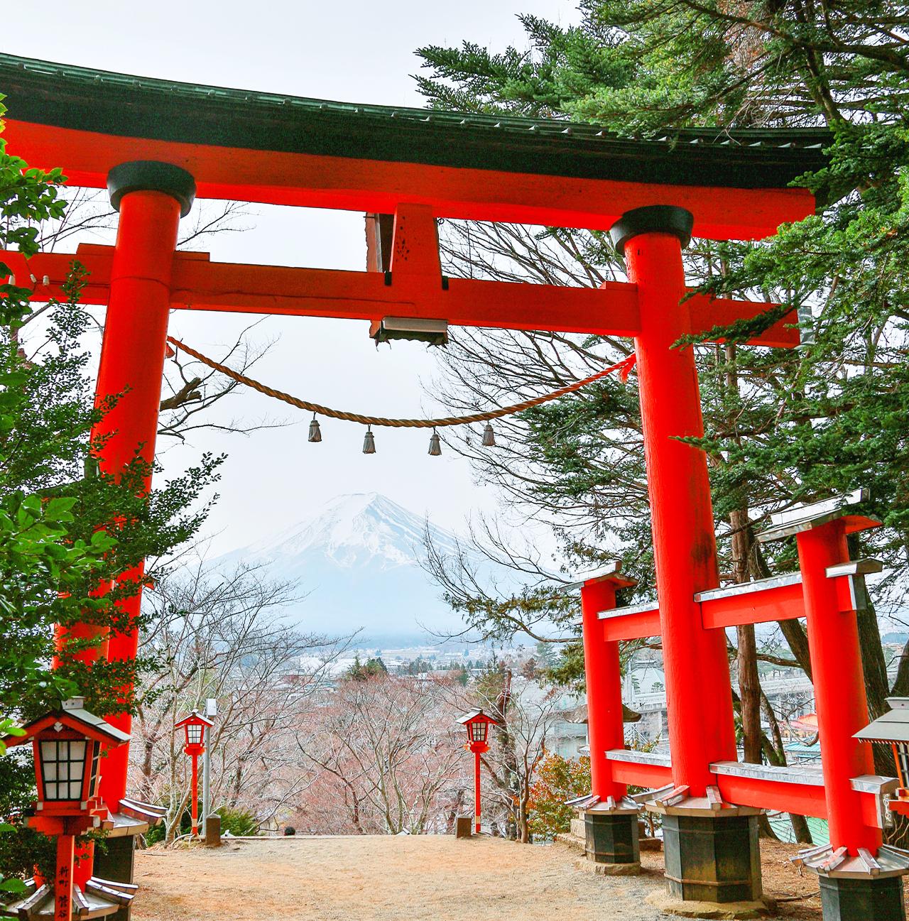 Mt. Fuji Heritage & Culture Day Trip