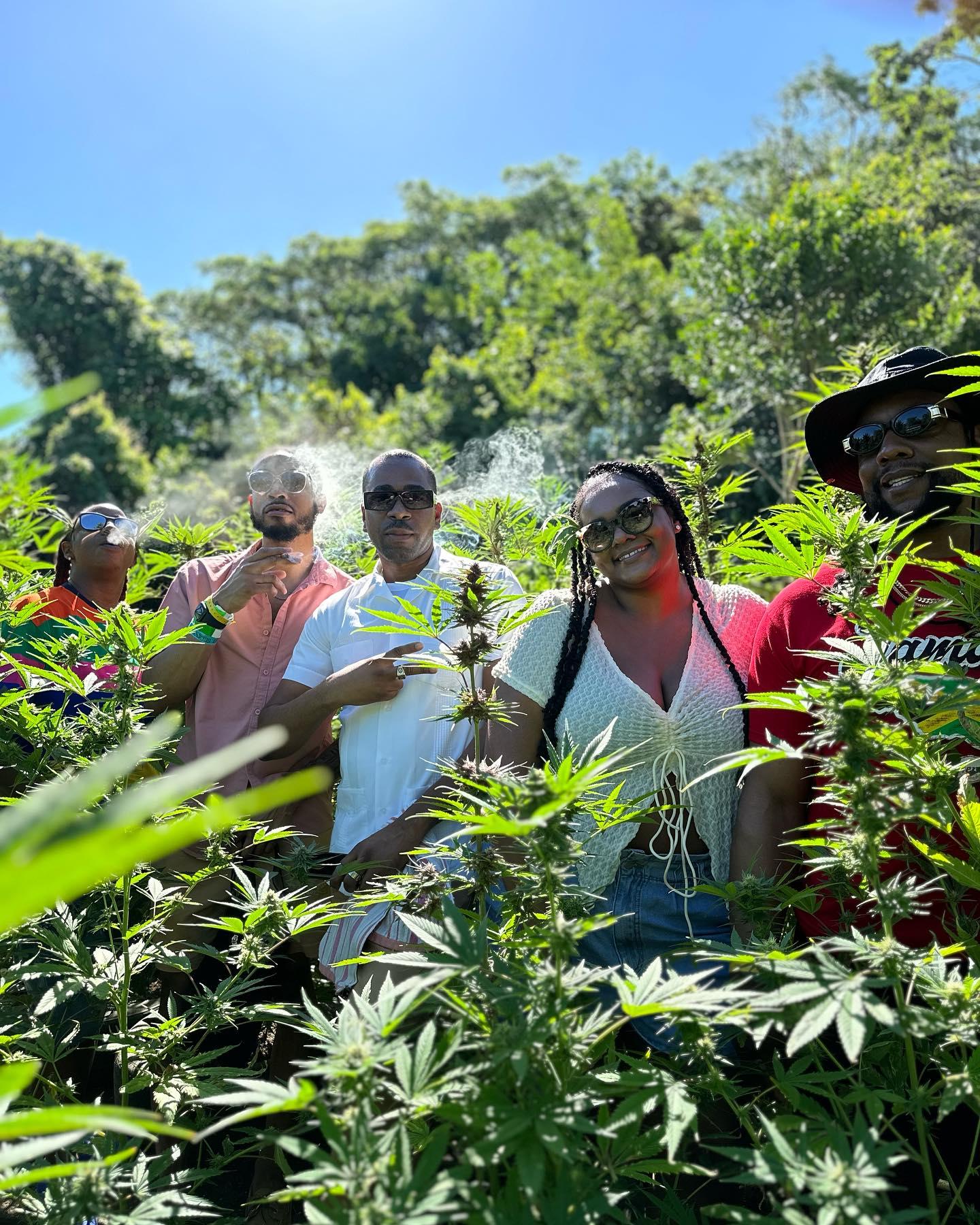 Negril Herb Farm, Mineral Spring, and Rick's Cafe Adventure
