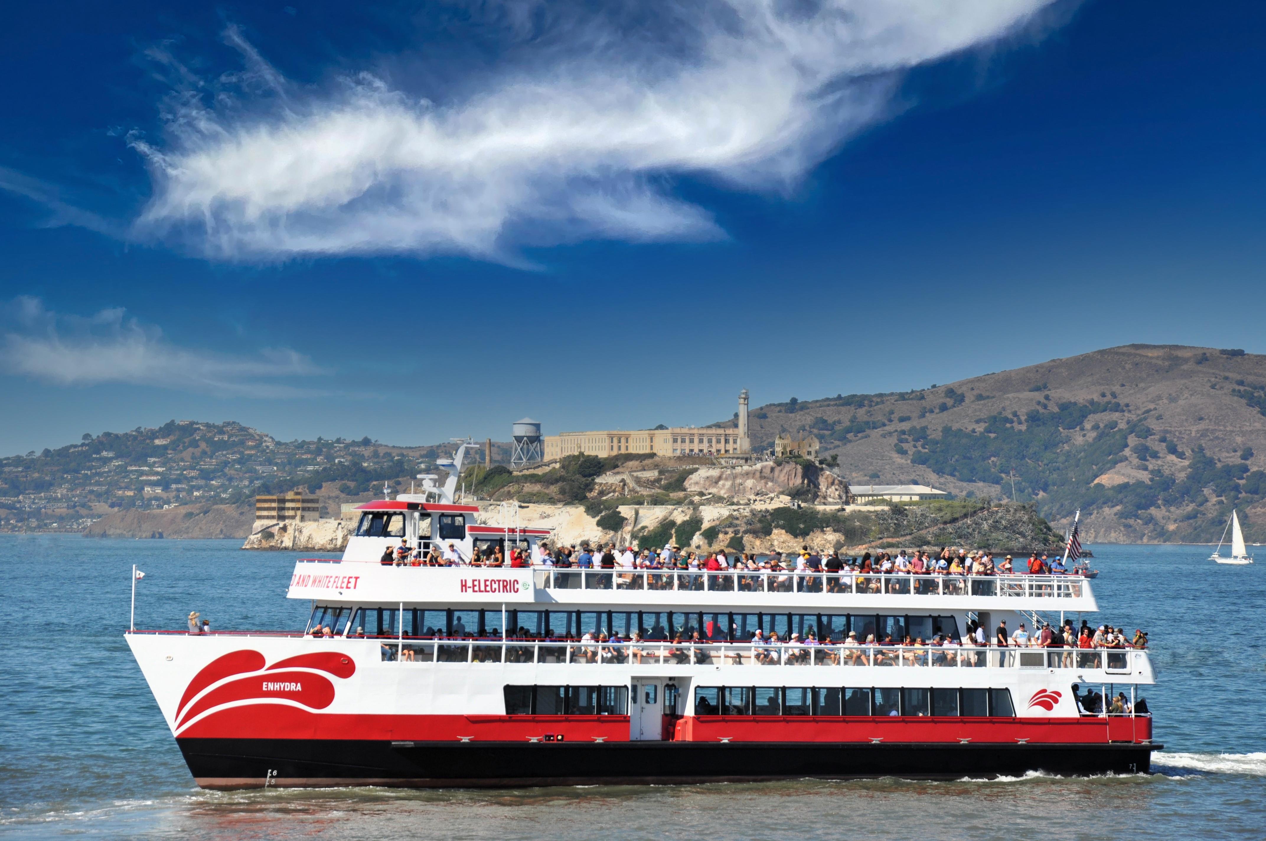 San Francisco Bay Whale Watching & Wildlife Eco-Cruise