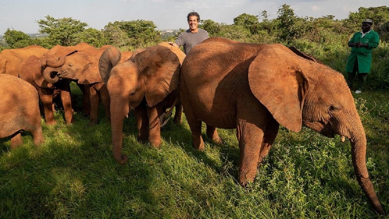 Nairobi Wildlife & History Day Tour