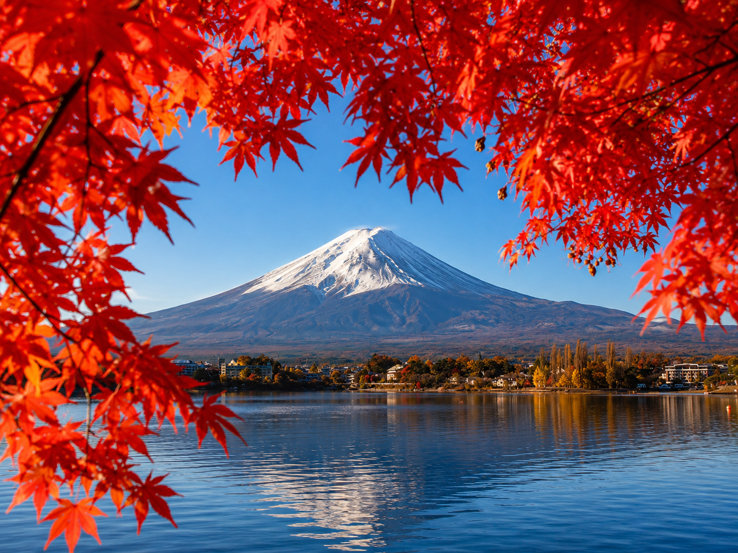 Mount Fuji Day Tour: Chureito Pagoda, Lake Kawaguchi & Oshino Hakkai