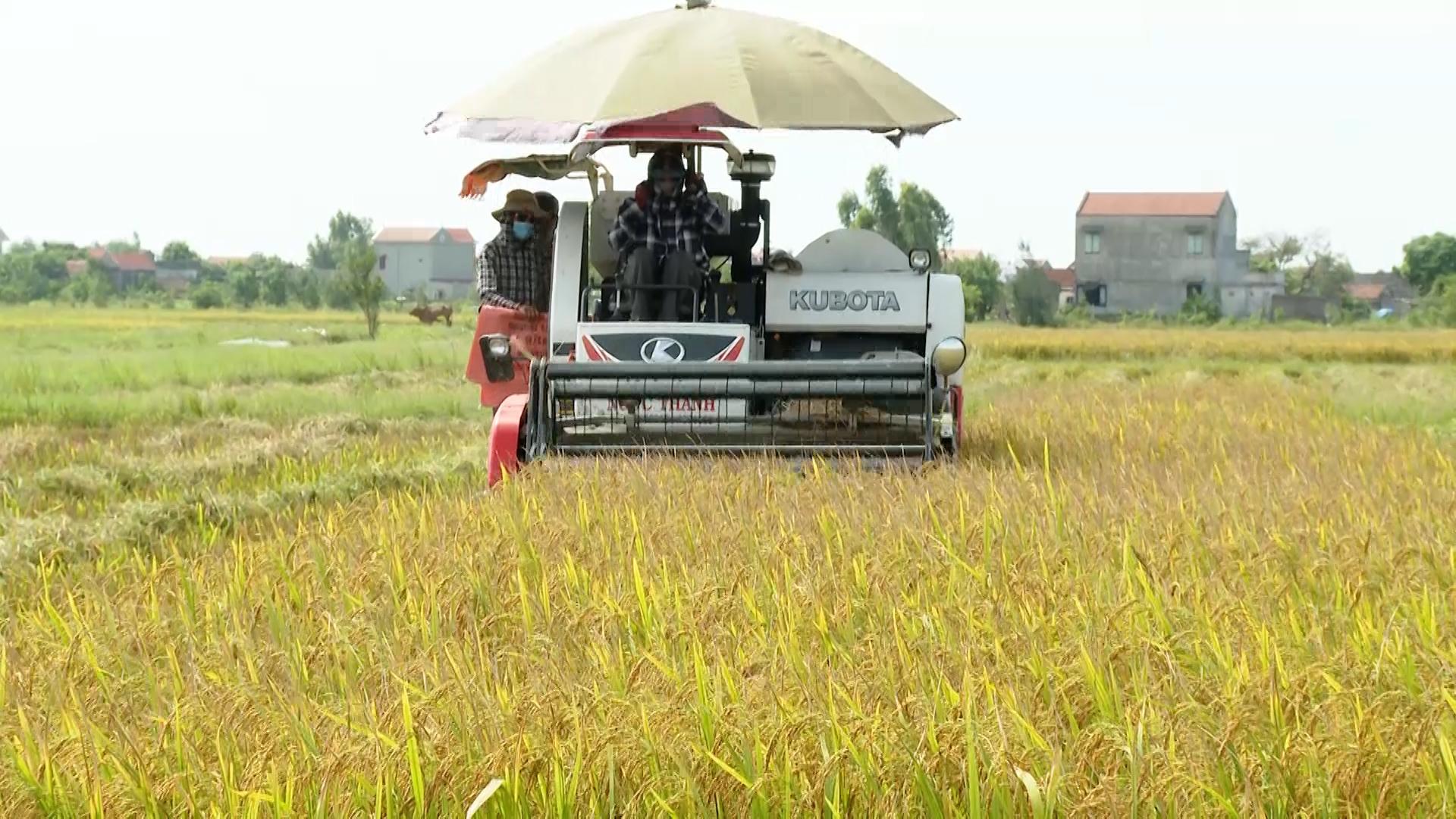 Ninh Binh Countryside Jeep Adventure: Sunrise, Morning & Sunset Options