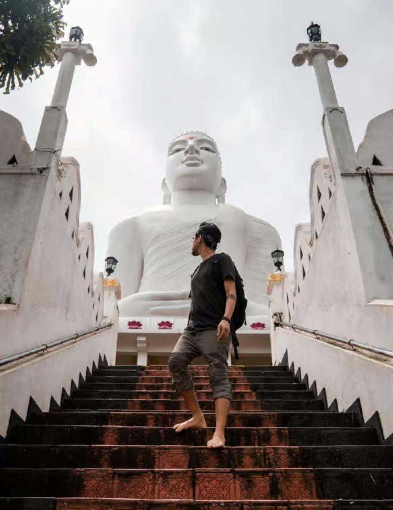 Kandy, Pinnawala & Tea Country Full-Day Excursion