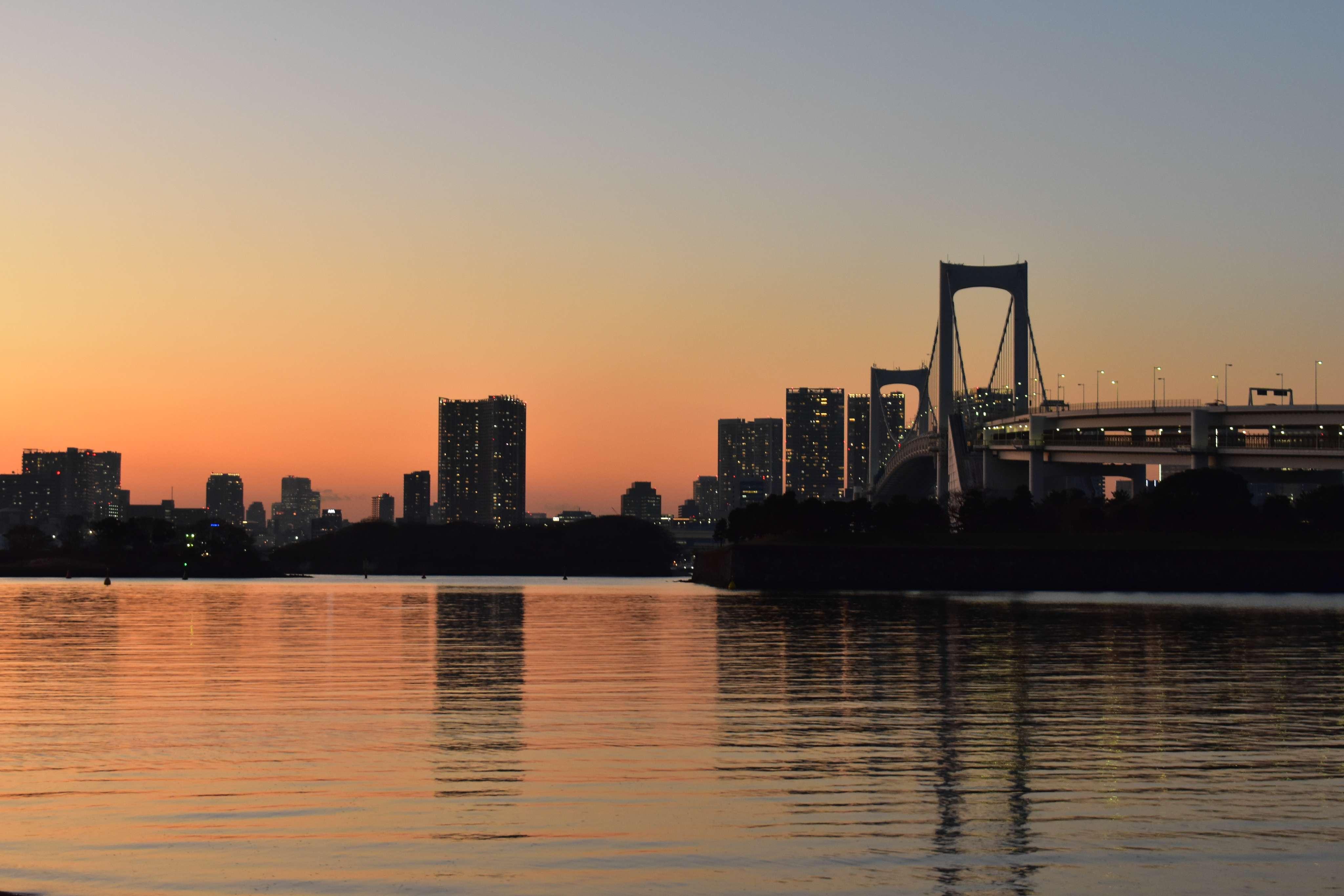 Tokyo After Dark: Bay, Ginza & Shinbashi Night Walk