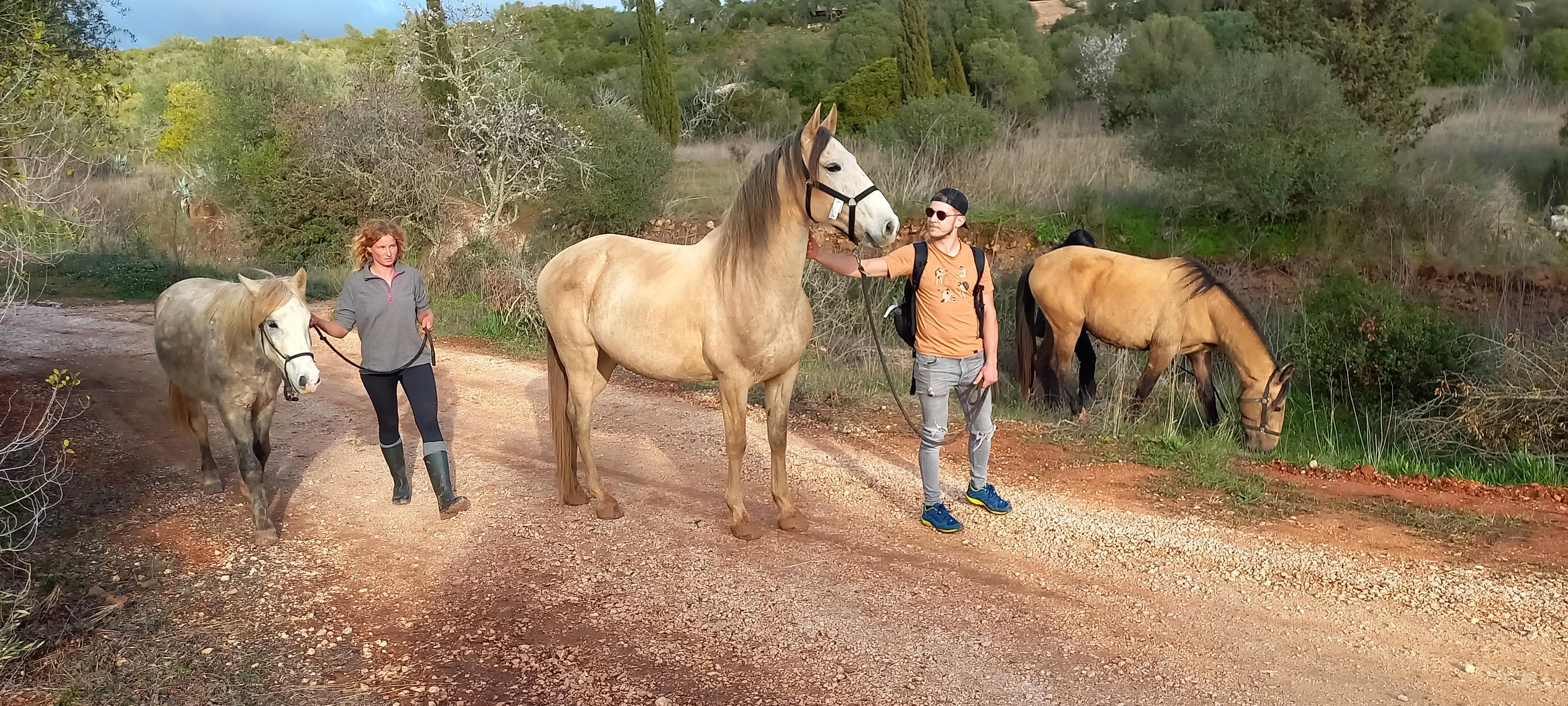 Rescued Horse Walk at Lagos Sanctuary