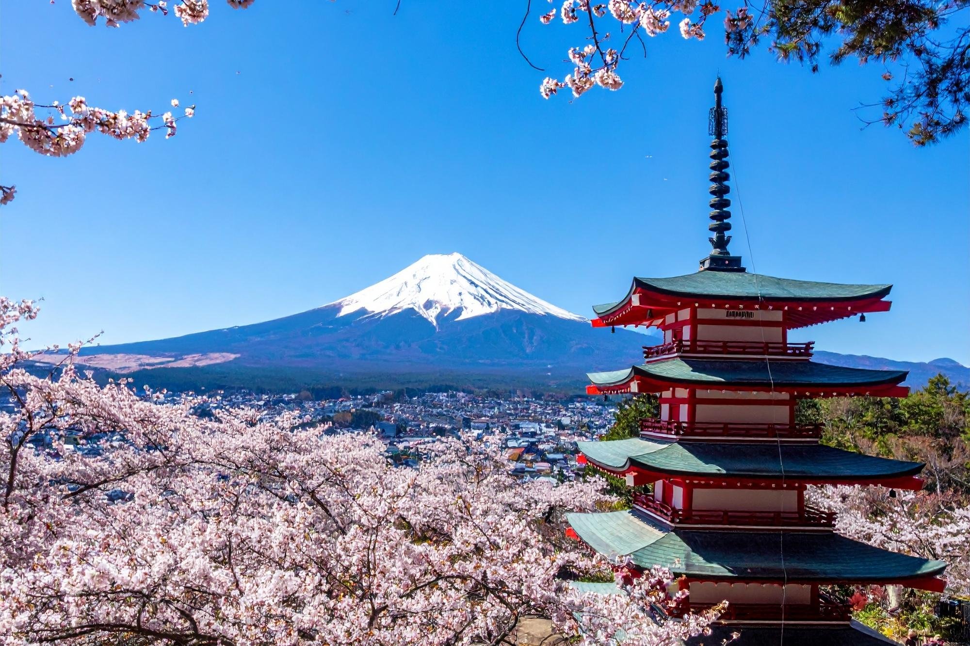 Mt. Fuji, Hakone & Arakura Pagoda Full-Day Tour from Tokyo