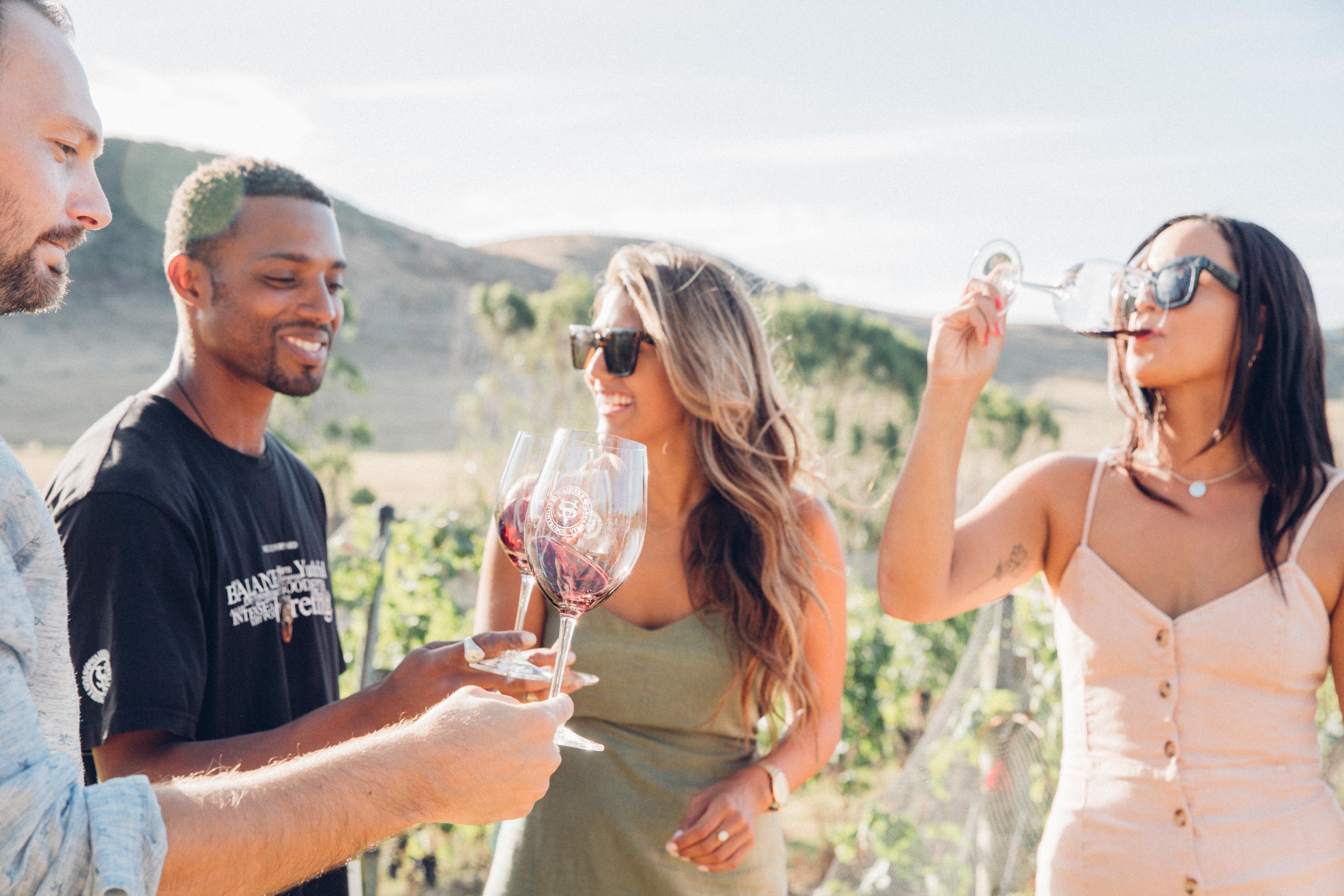 Waiheke Island wine tour — image 4