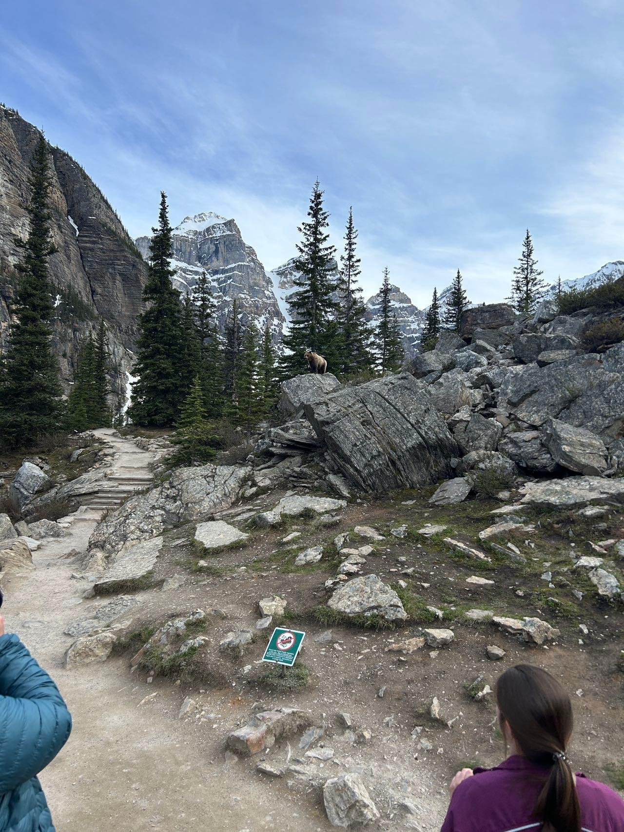 Lake Louise shuttle tour — glacial turquoise lake below Victoria Glacier in Banff National Park — image 5