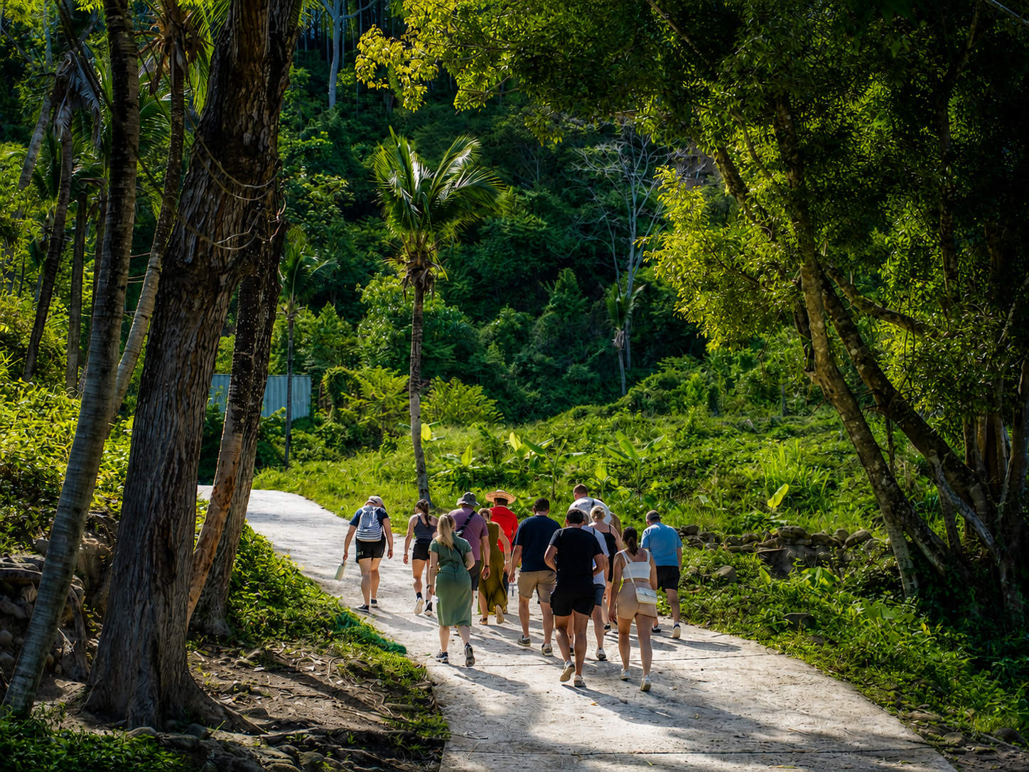 Patong Elephant Sanctuary: Ethical Learning Experience