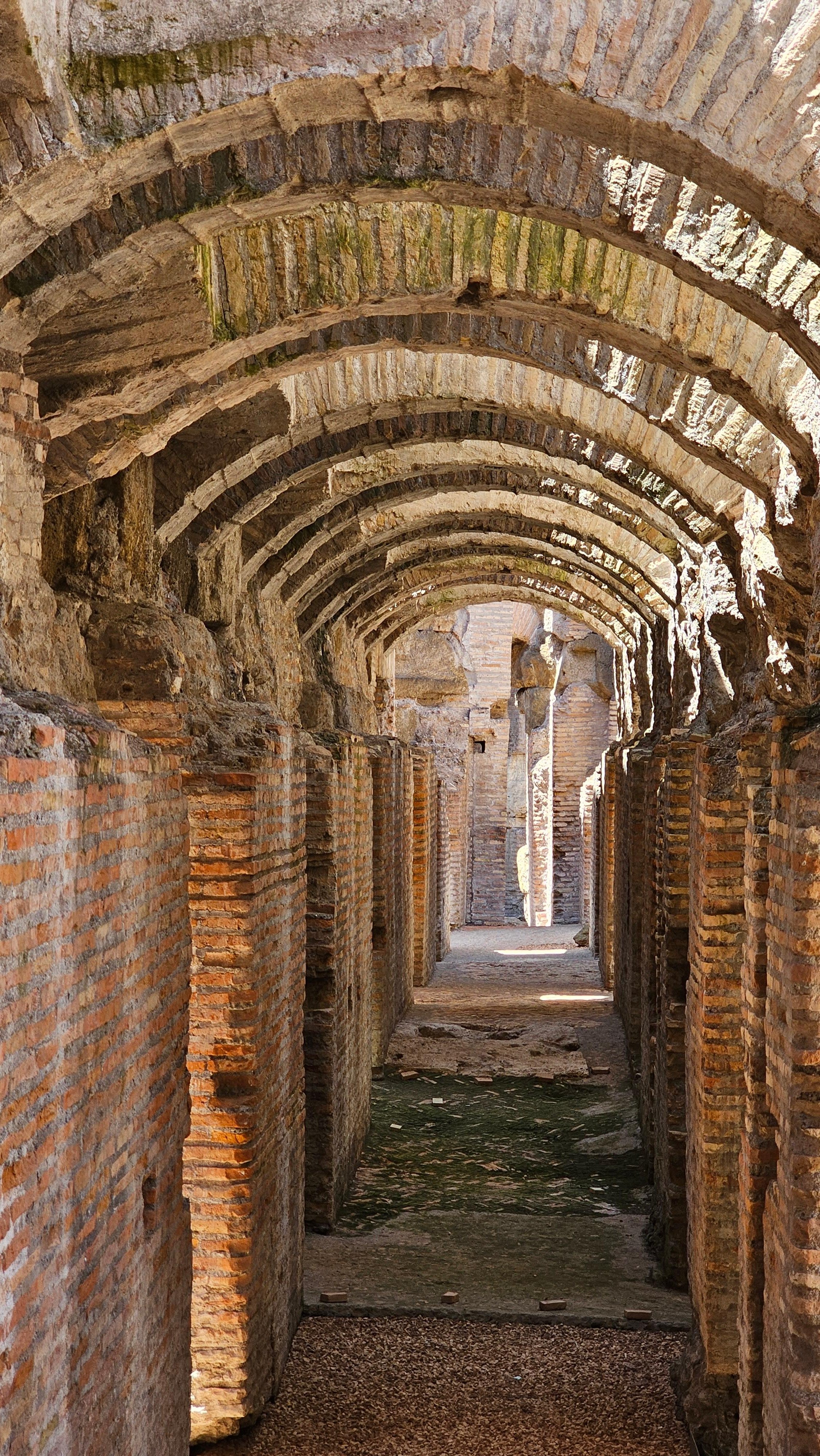 Colosseum Arena Floor & Underground Access Tour