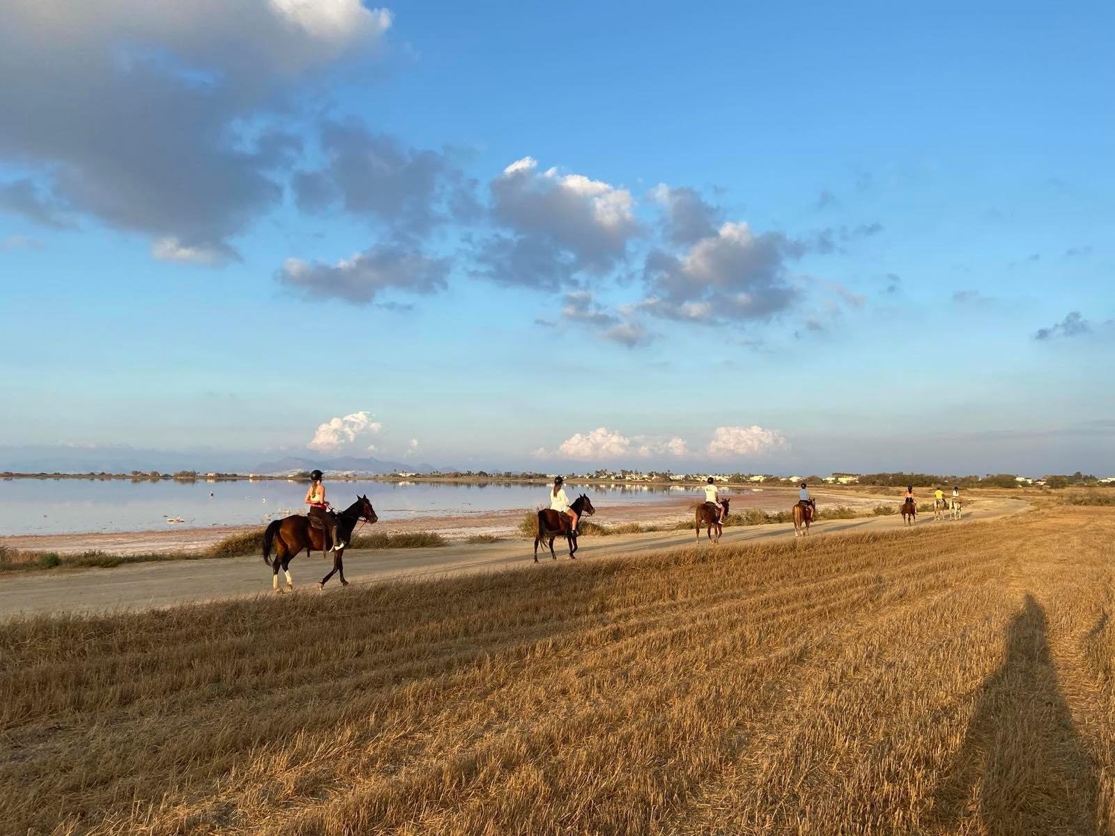 Beach Horse Riding with Professional Guide in Kos