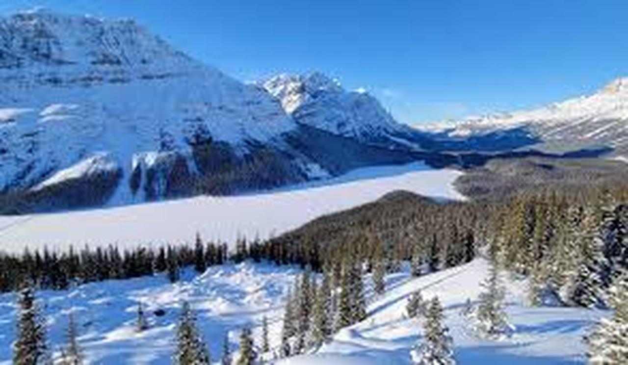 Icefields Parkway tour — Columbia Icefield, Peyto Lake and Bow Lake, Alberta — image 19