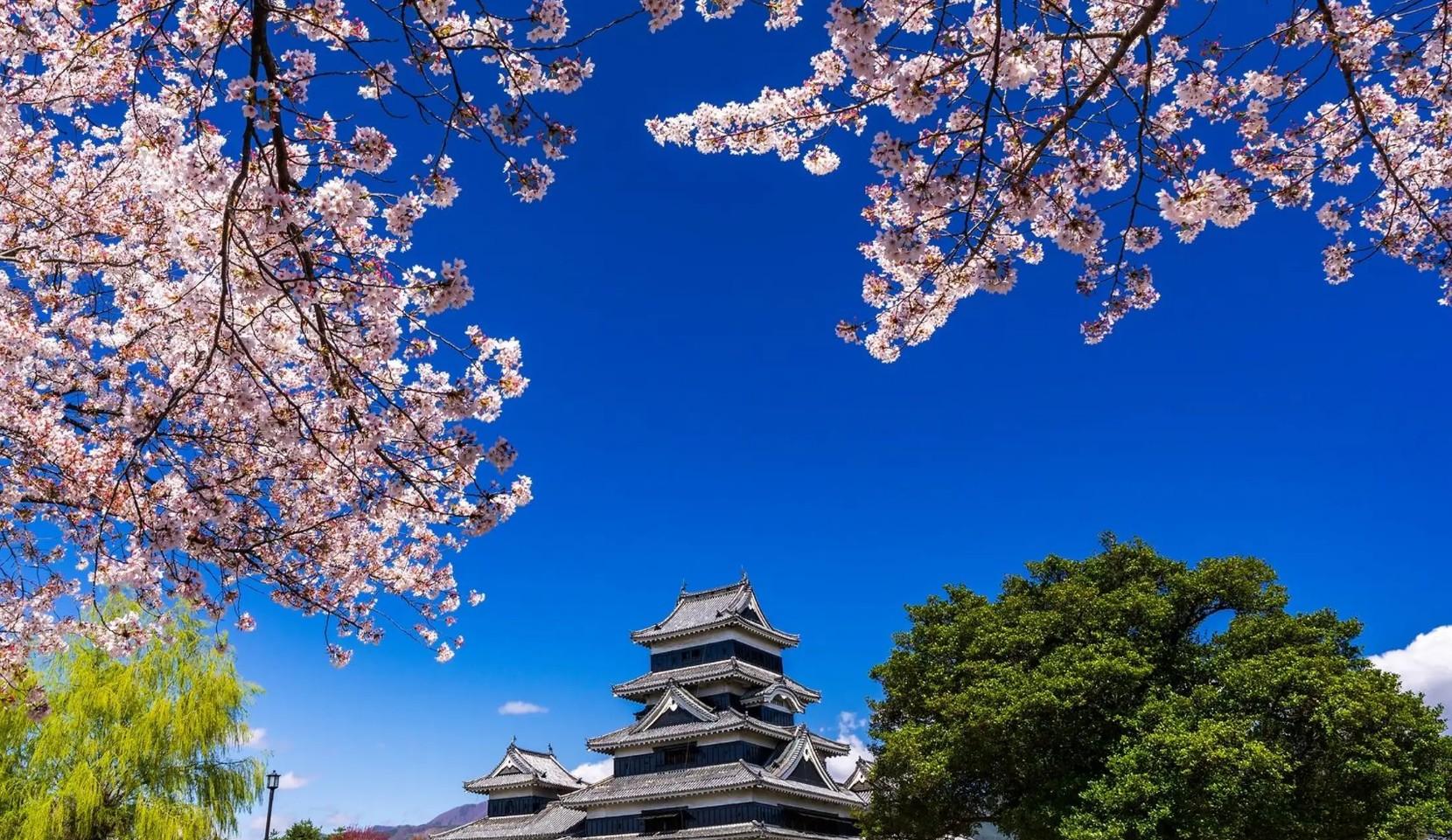 Private Mt. Fuji Day Tour from Tokyo