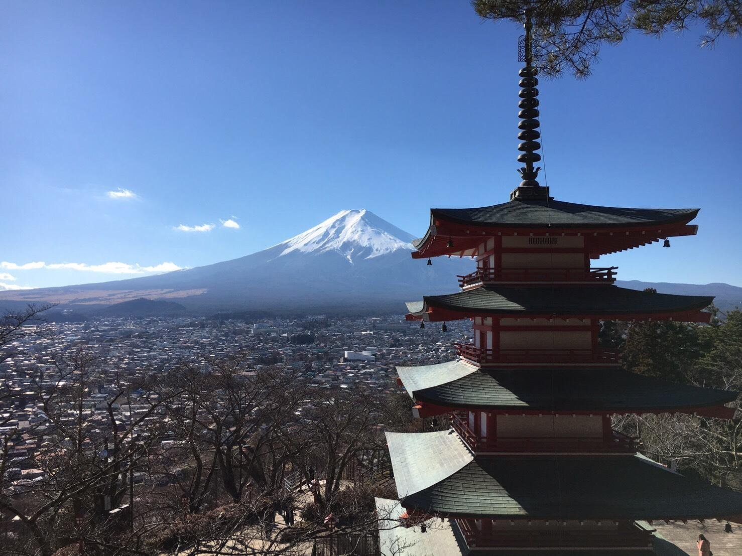 Mt. Fuji, Lake Kawaguchi & Chureito Pagoda Day Trip from Tokyo