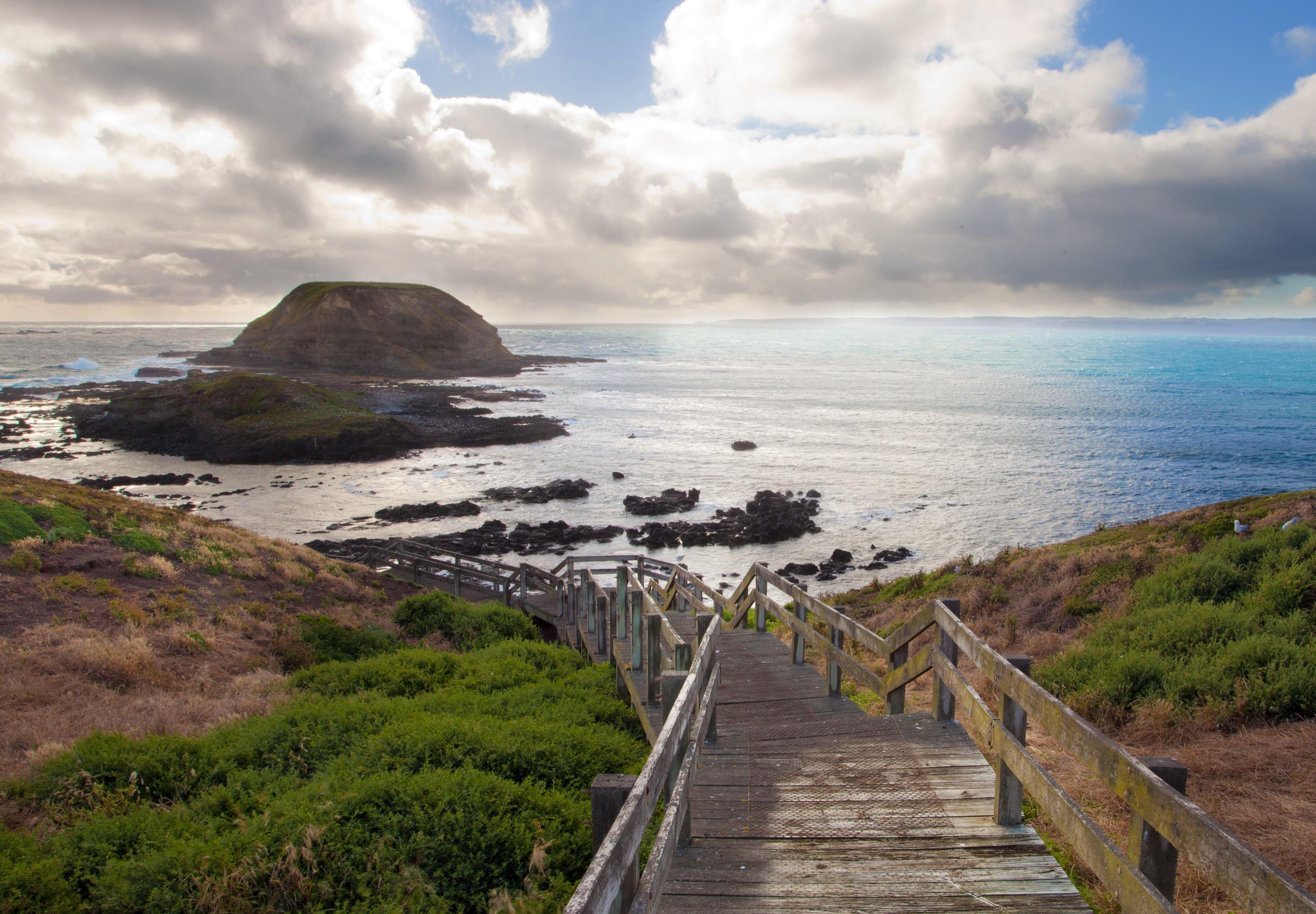 Phillip Island Wildlife & Penguin Parade Day Tour