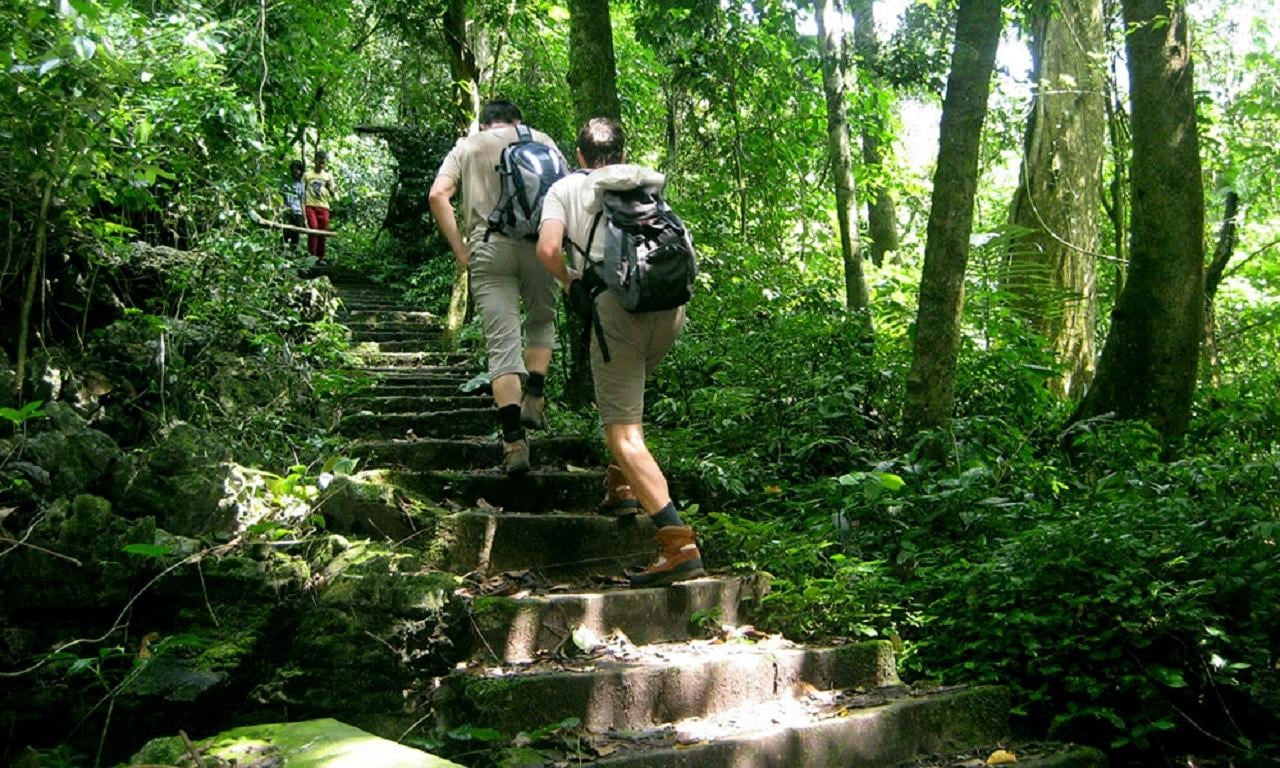 Cuc Phuong National Park Full-Day Group Tour from Ninh Binh