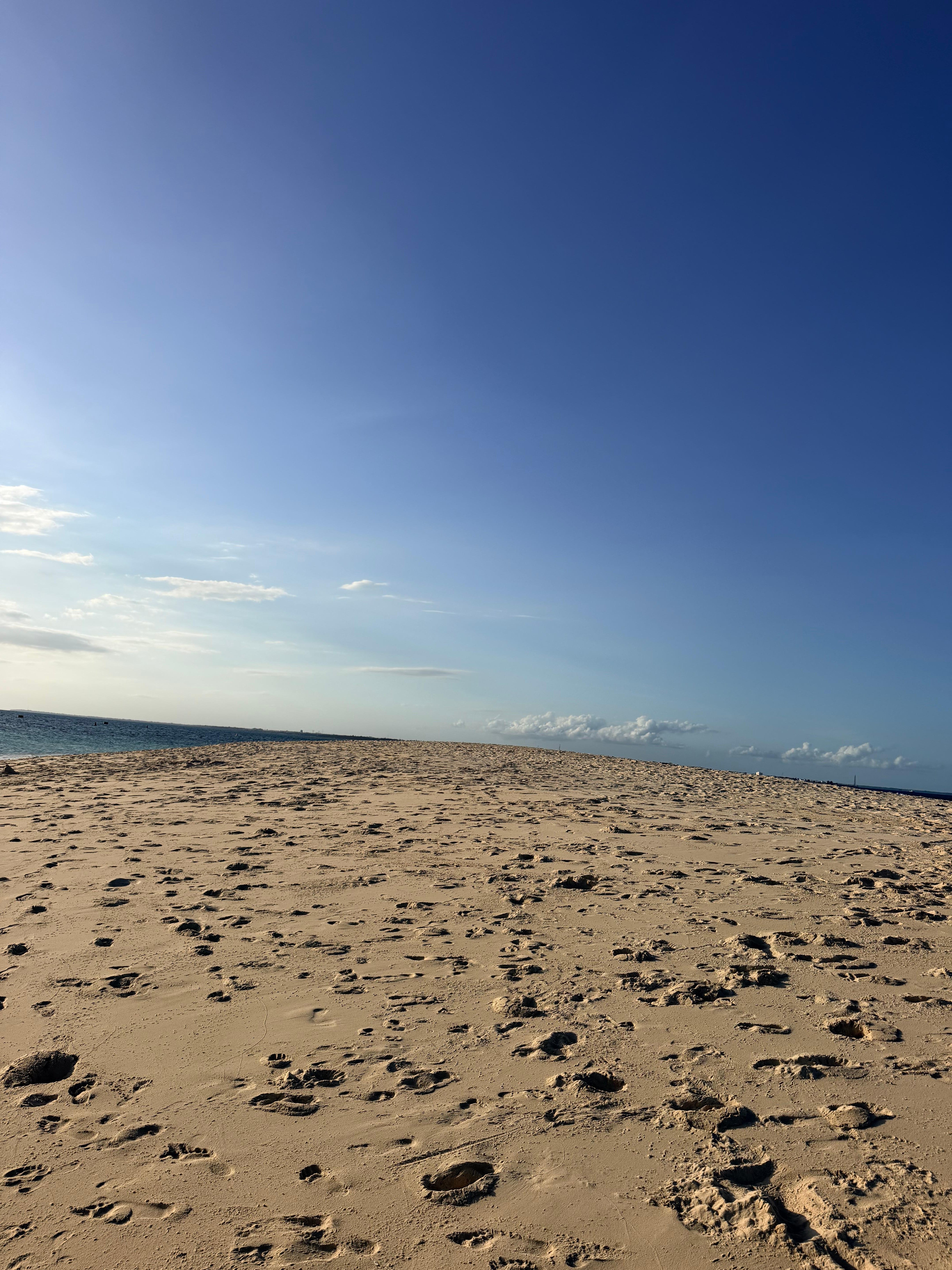 Zanzibar Safari Blue: Dhow Cruise, Snorkeling & Sandbank Day Tour