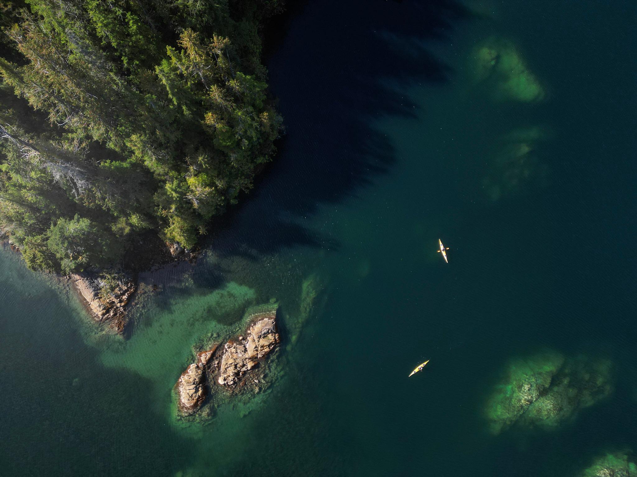 Tofino: Clayoquot Sound Kayak Tour with Boat Ride