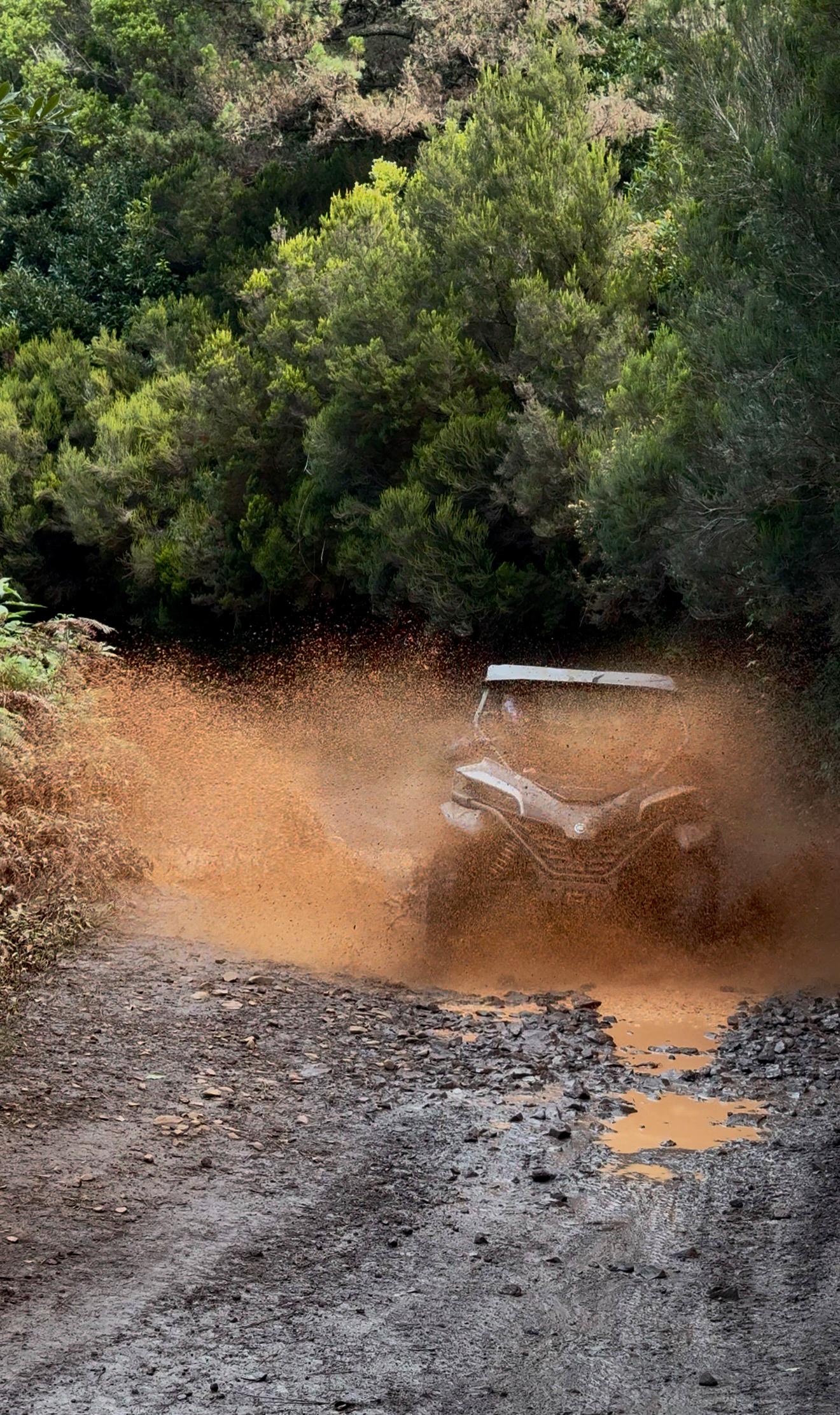Madeira Self-Drive Off-Road Buggy Adventure