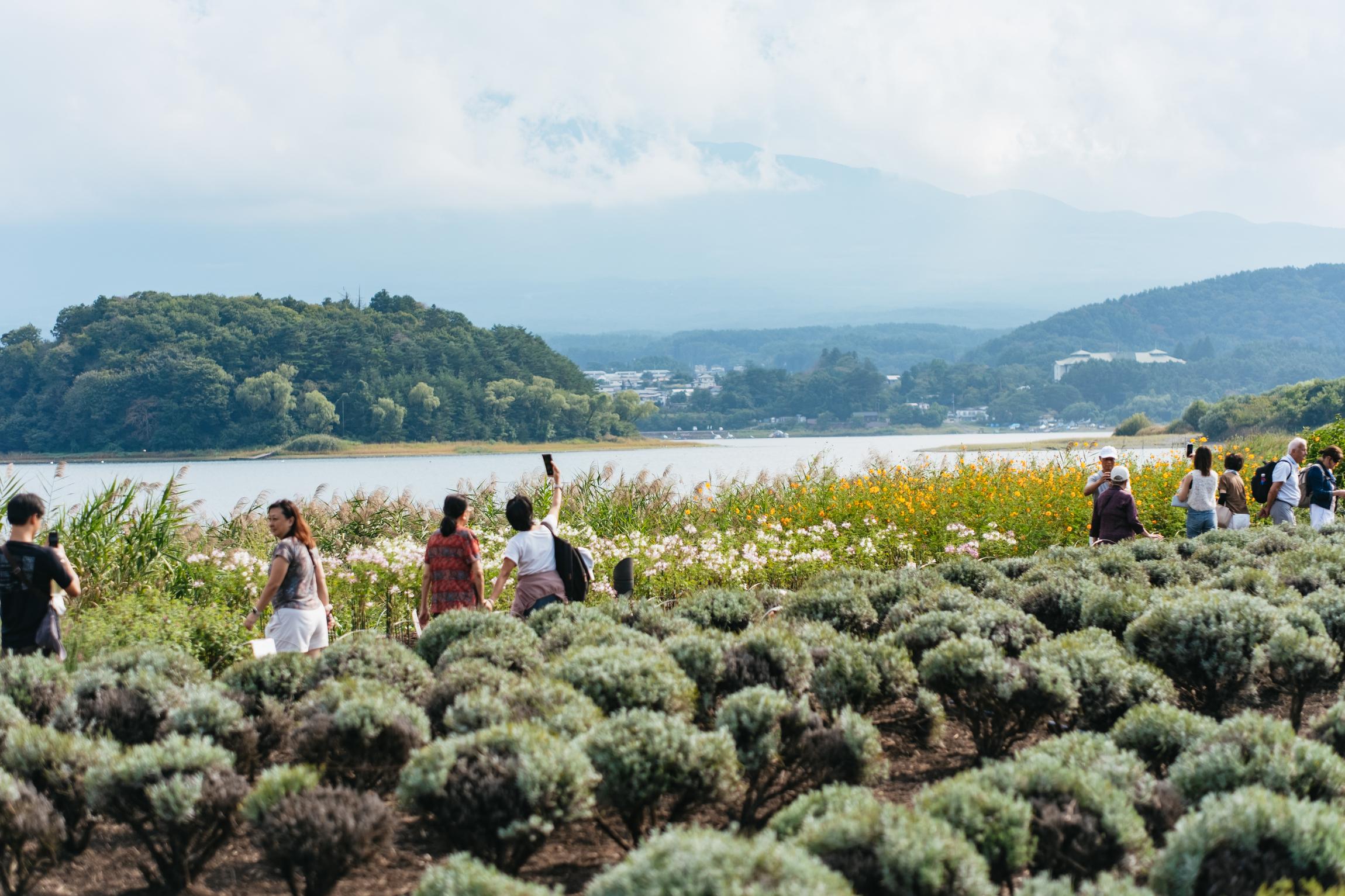 Tokyo Day Trip: Mt. Fuji, Kamakura Big Buddha & Lake Ashi Cruise