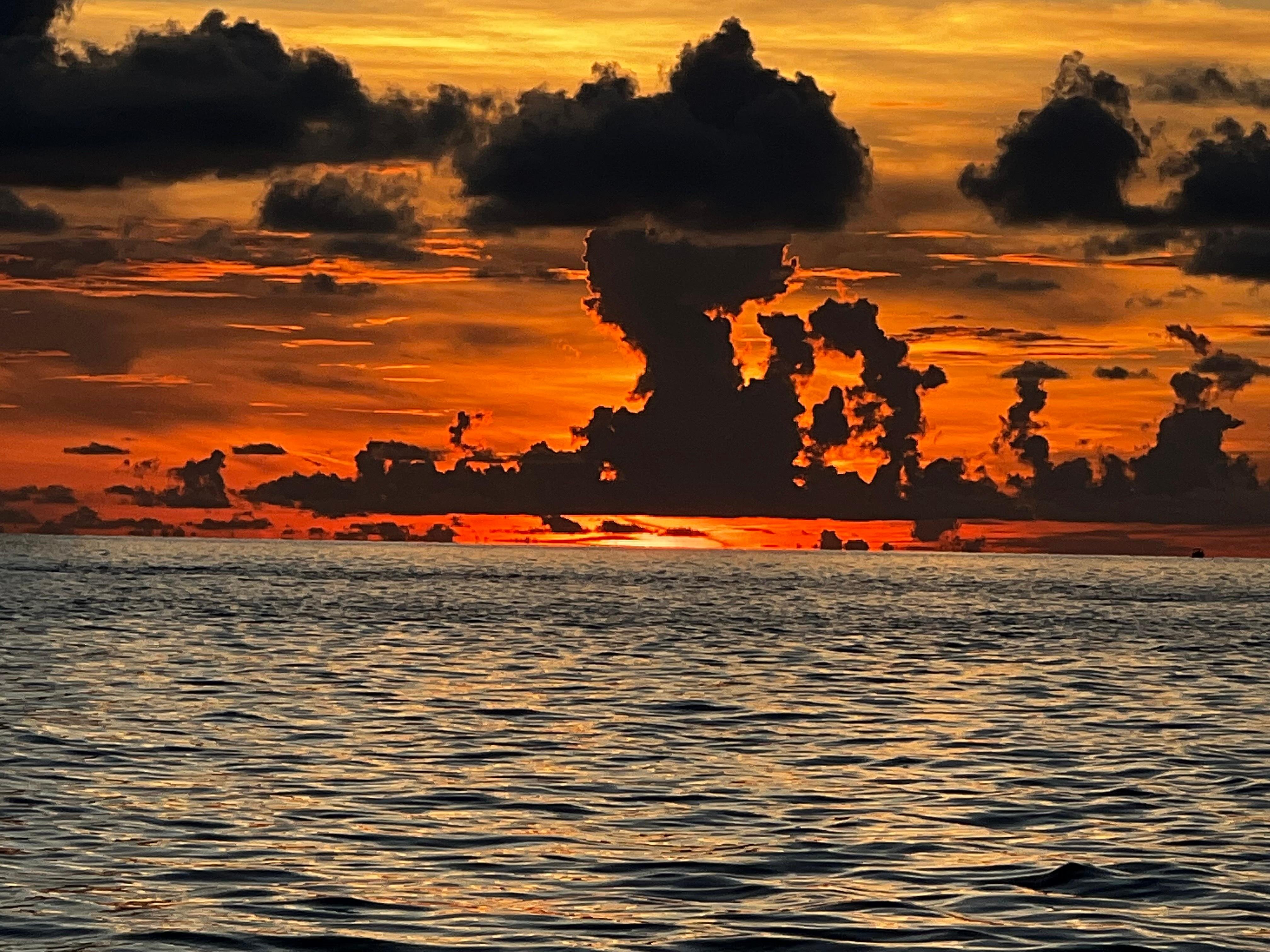 Sunset & Harbor Lights Cruise, guests looking across Gulf water