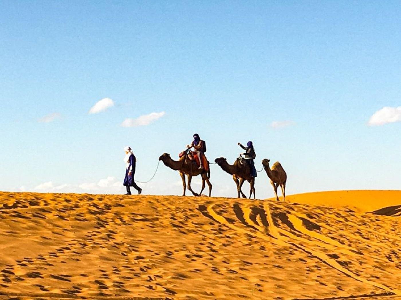 Paradise Valley and Desert Dune Camel Trek from Agadir