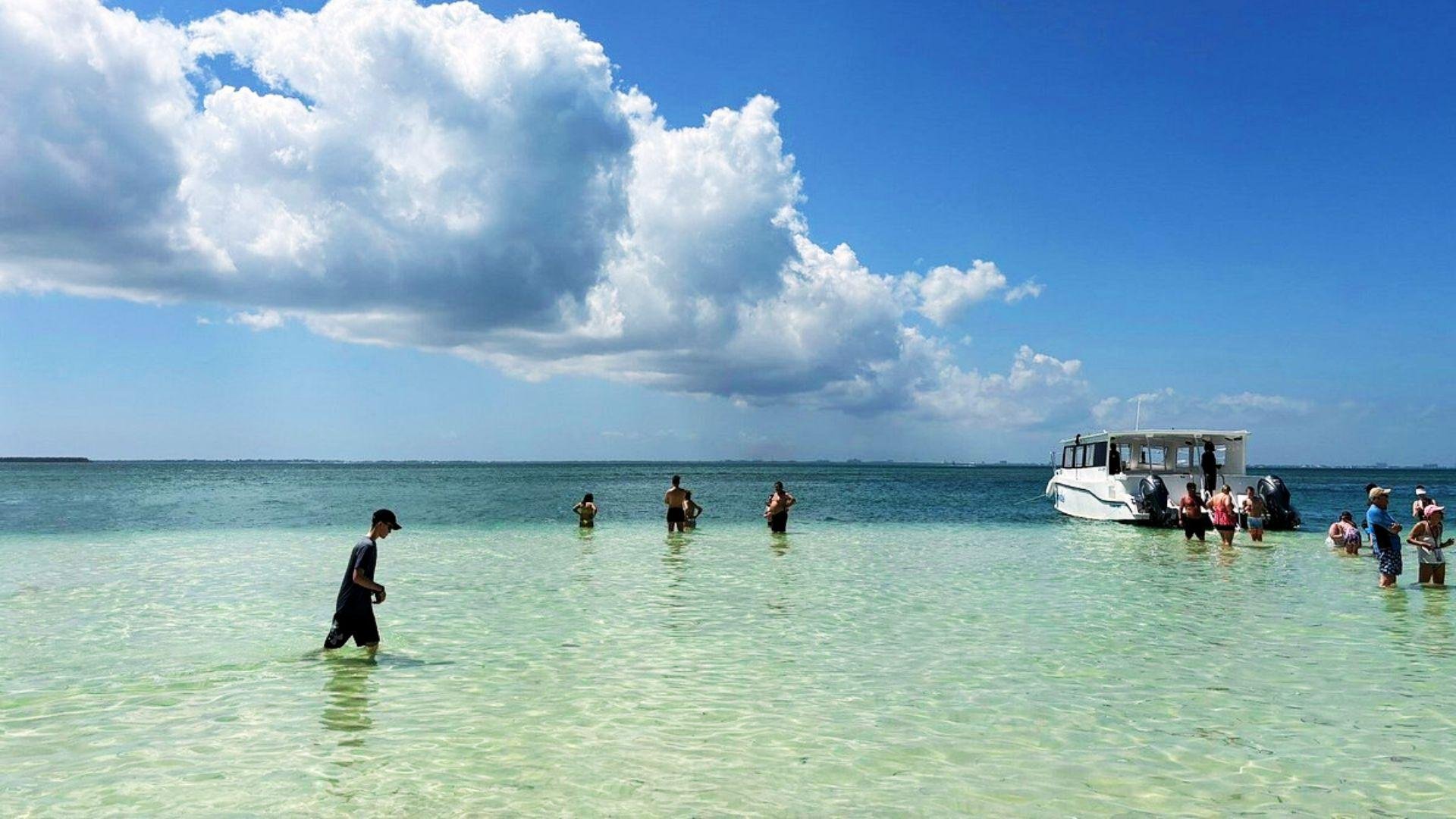 Grand Cayman Starfish Point & Mangrove Reserve Boat Experience