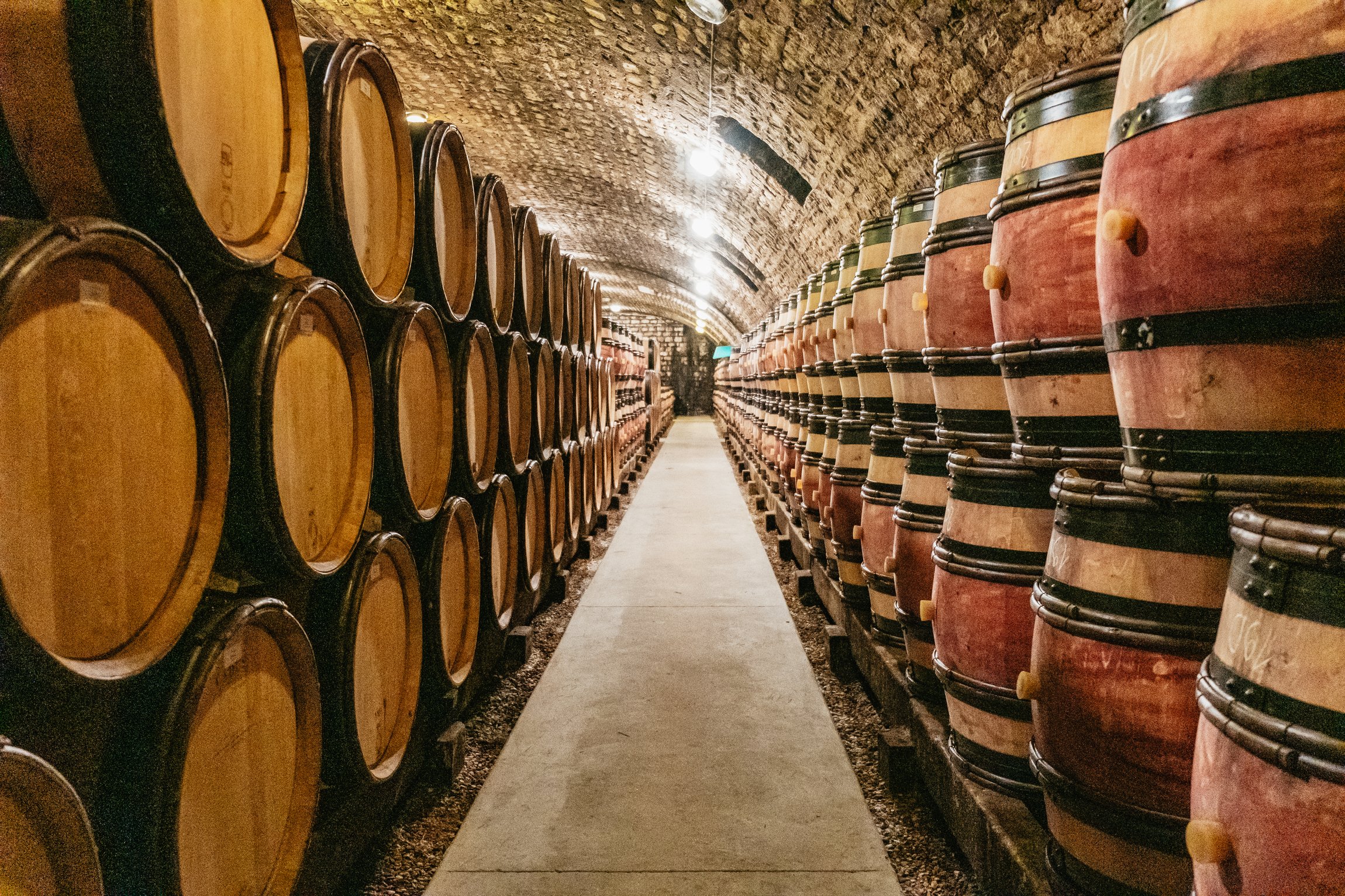 wine tour in Burgundy — photo 5