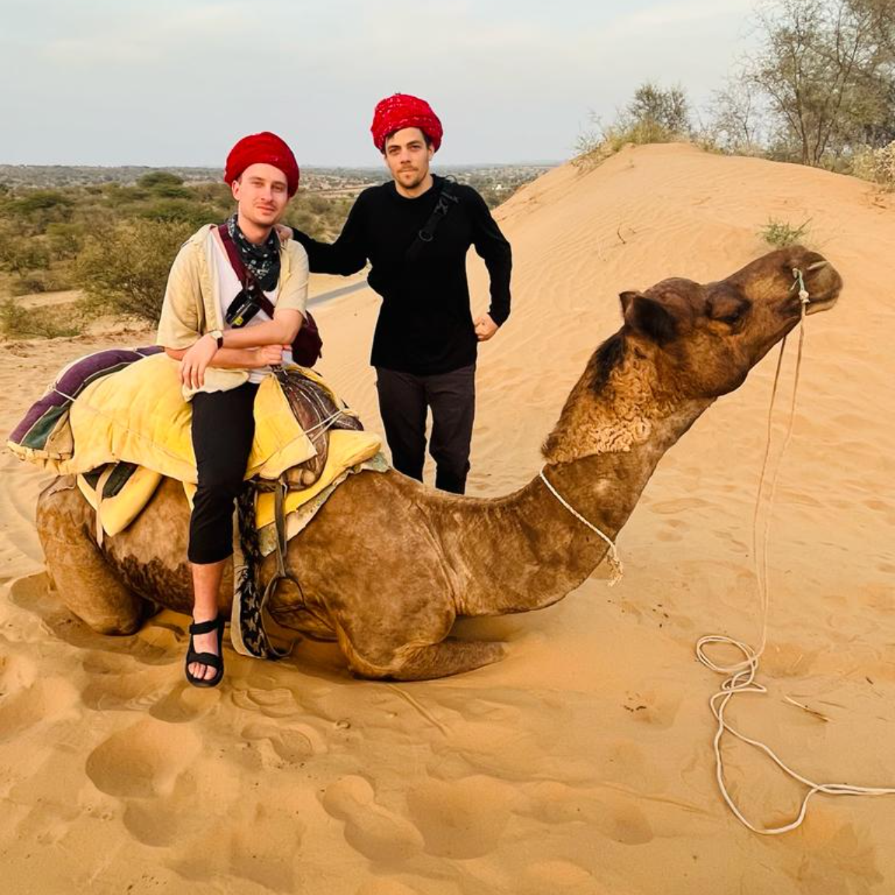 Thar Desert Overnight Camel Safari & Village Stay