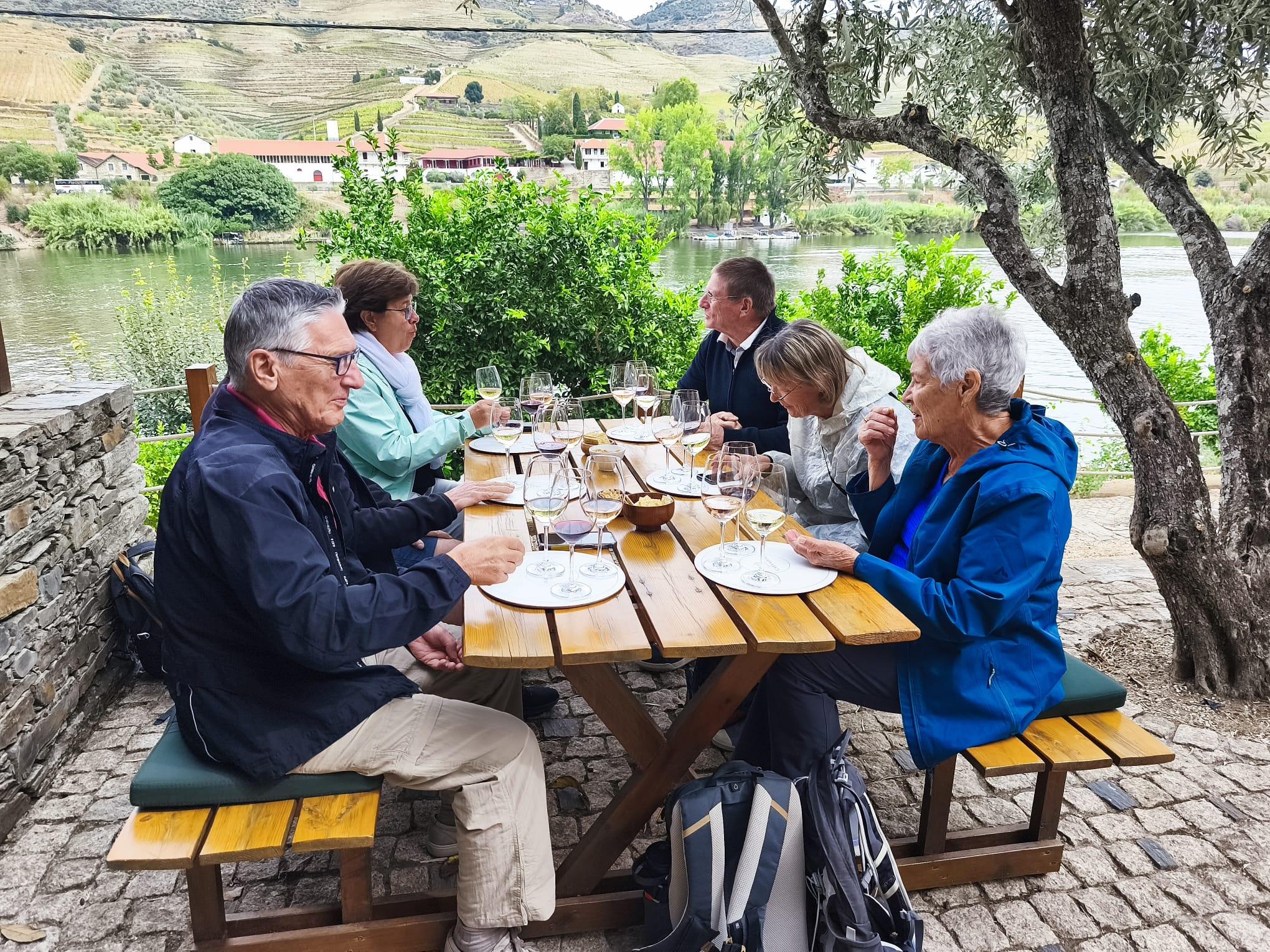 Douro Valley Full-Day Tour: Boat Ride, Twin Winery Tastings & Lunch